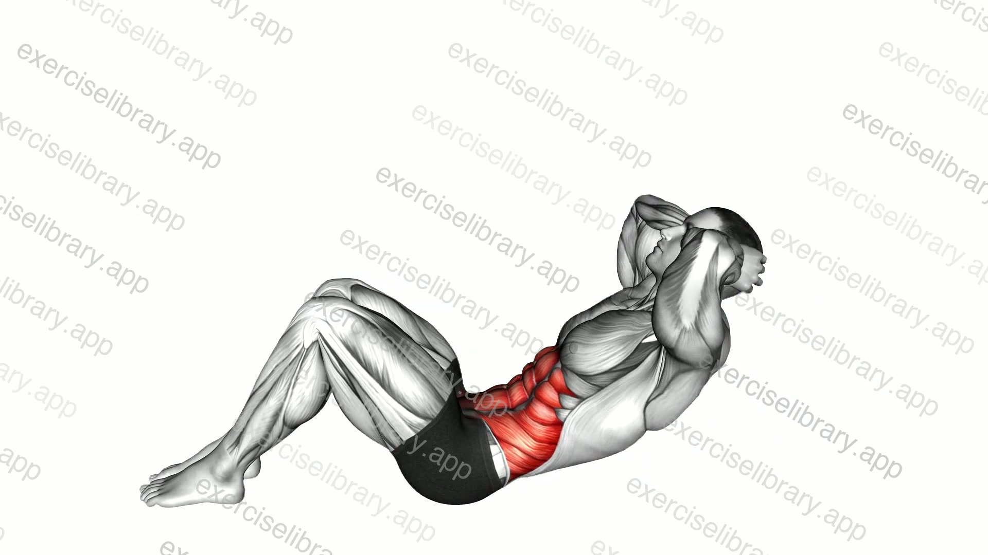 3-4 Sit-up demonstration
