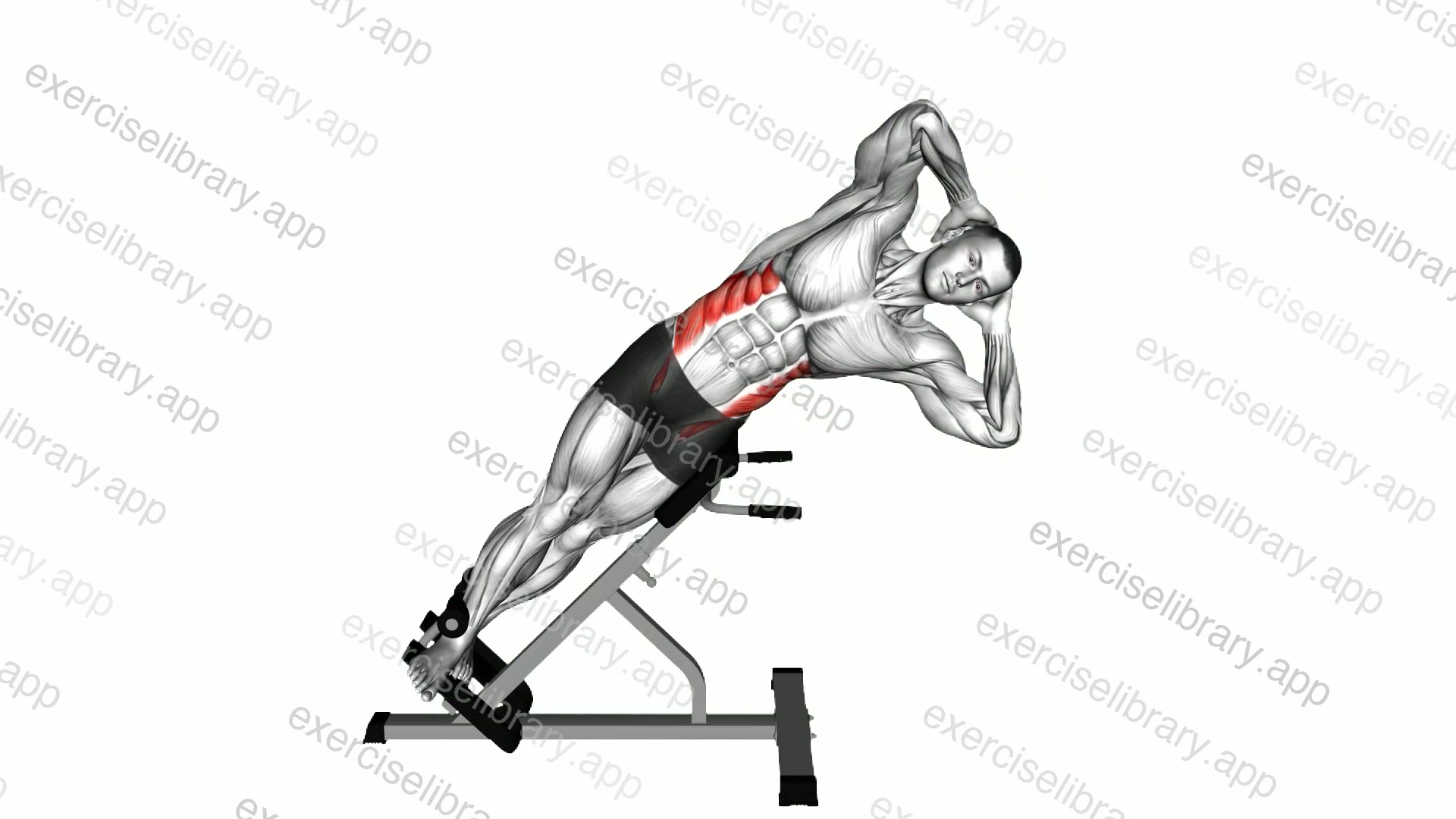 45 degrees Side Bend demonstration