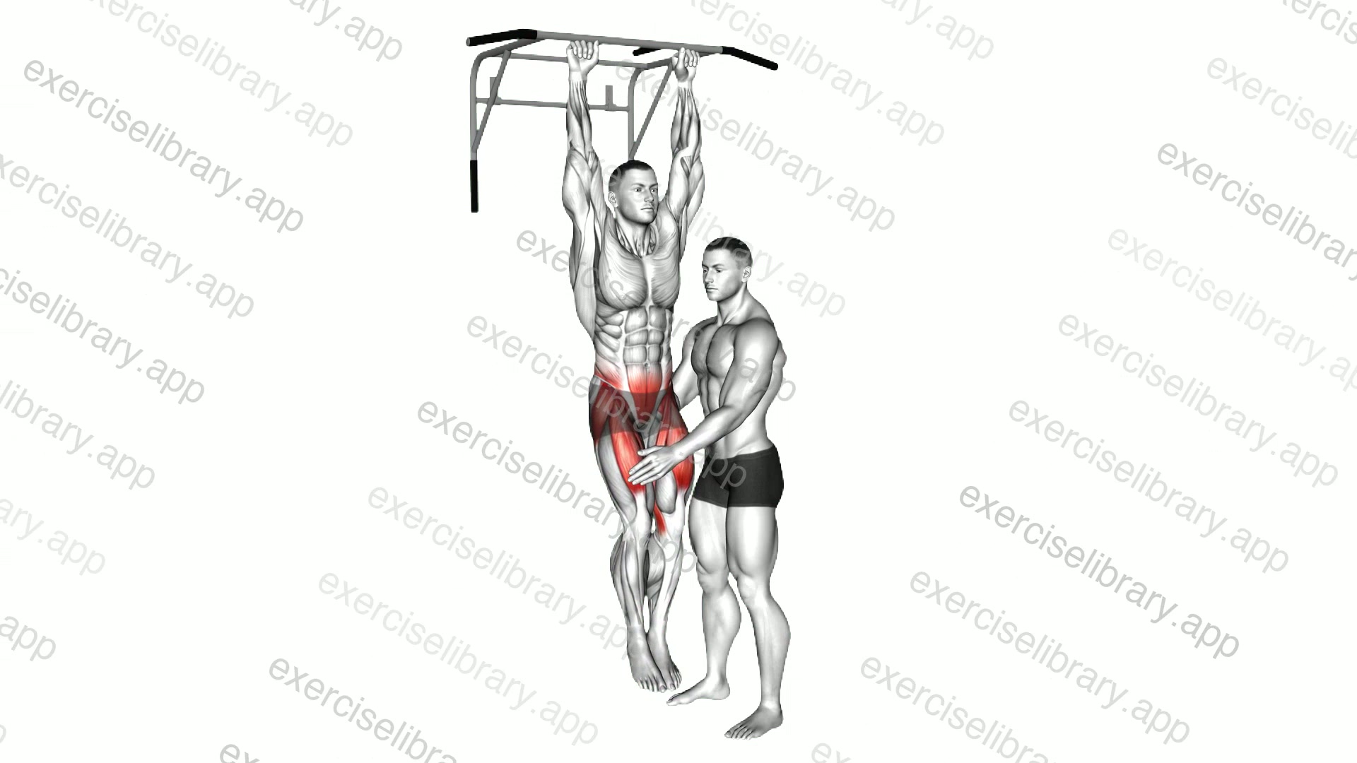 Assisted Hanging Knee Raise With Throw Down demonstration