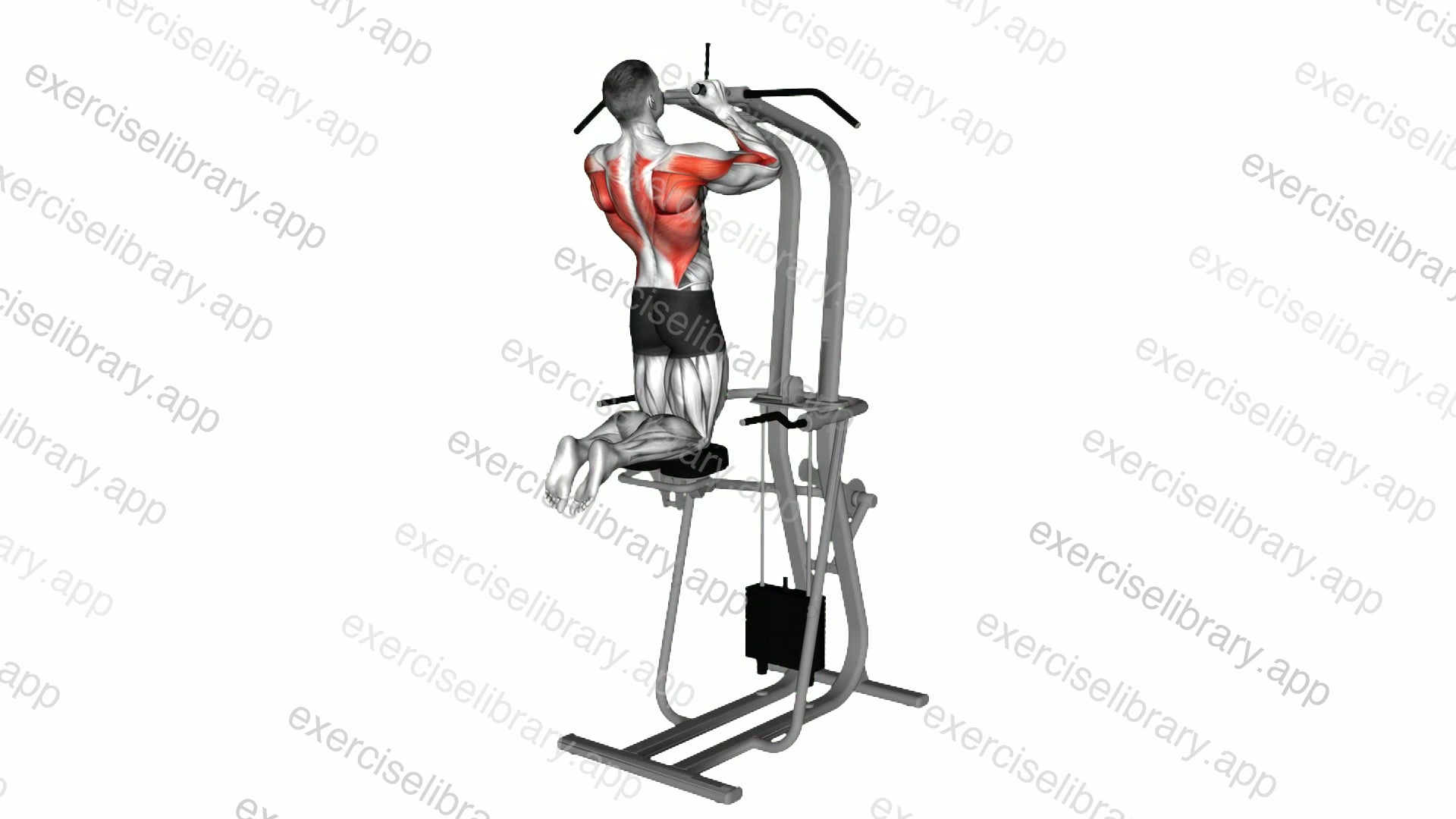 Assisted Parallel Close Grip Pull-up demonstration
