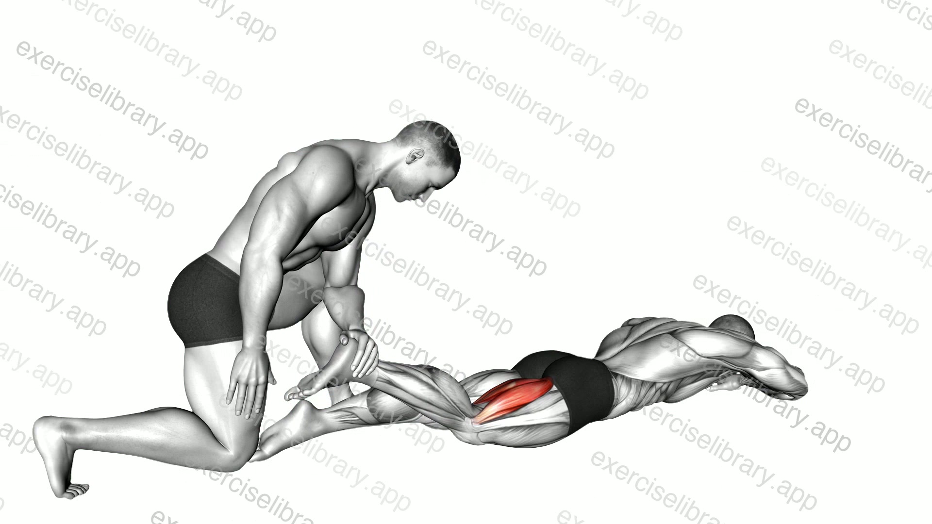 Assisted Prone Hamstring demonstration