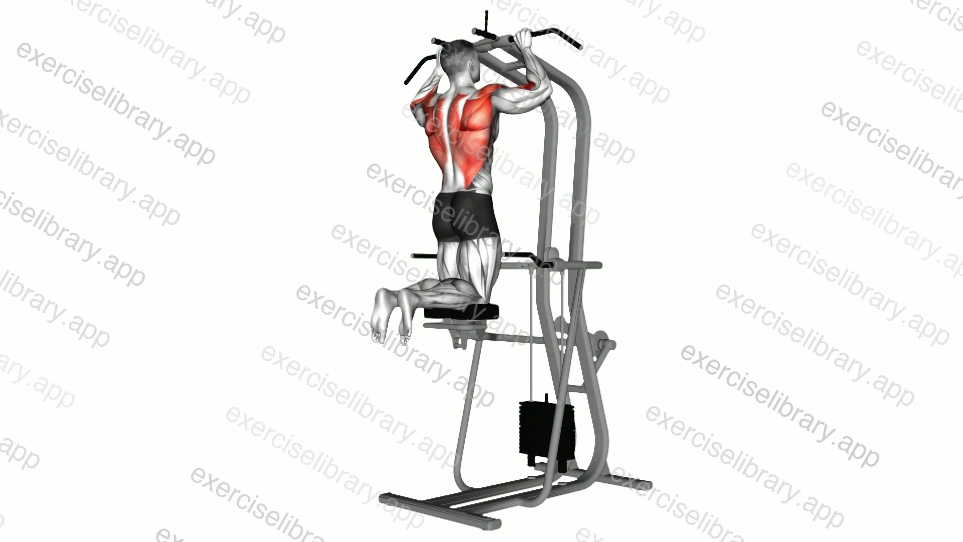 Assisted Pull-up demonstration