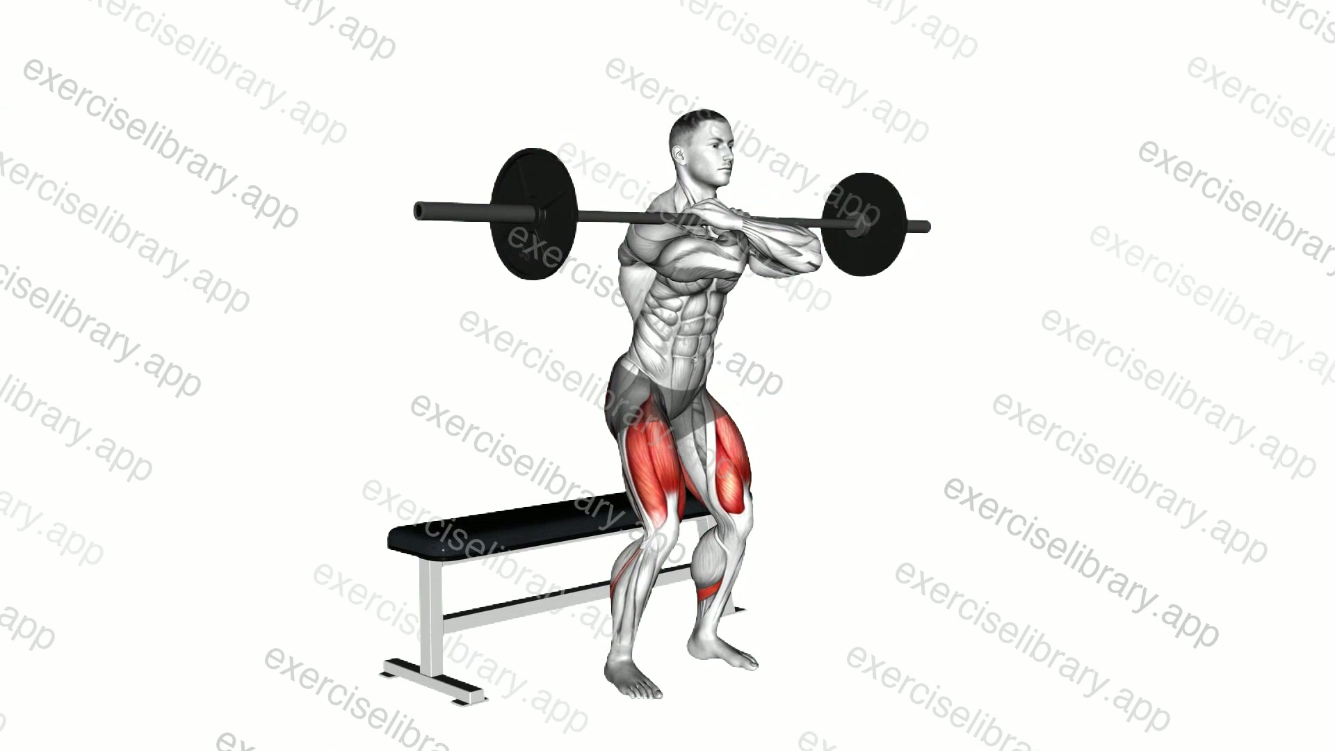 Barbell Bench Front Squat demonstration