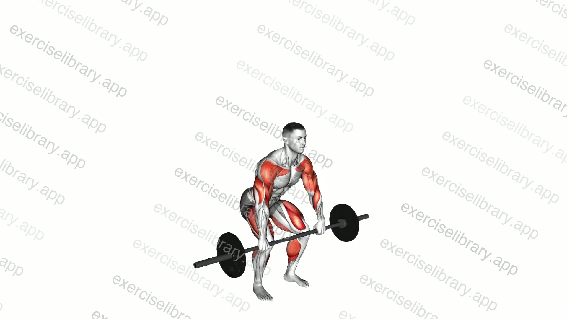 Barbell Clean and Press demonstration
