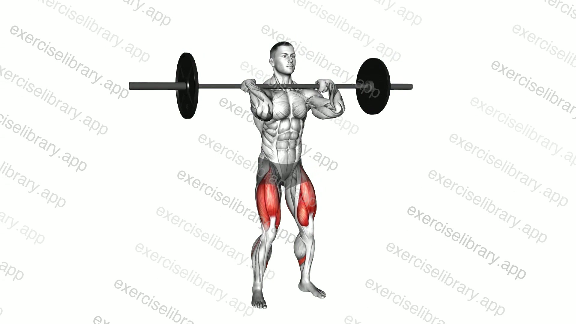 Barbell Clean grip Front Squat demonstration