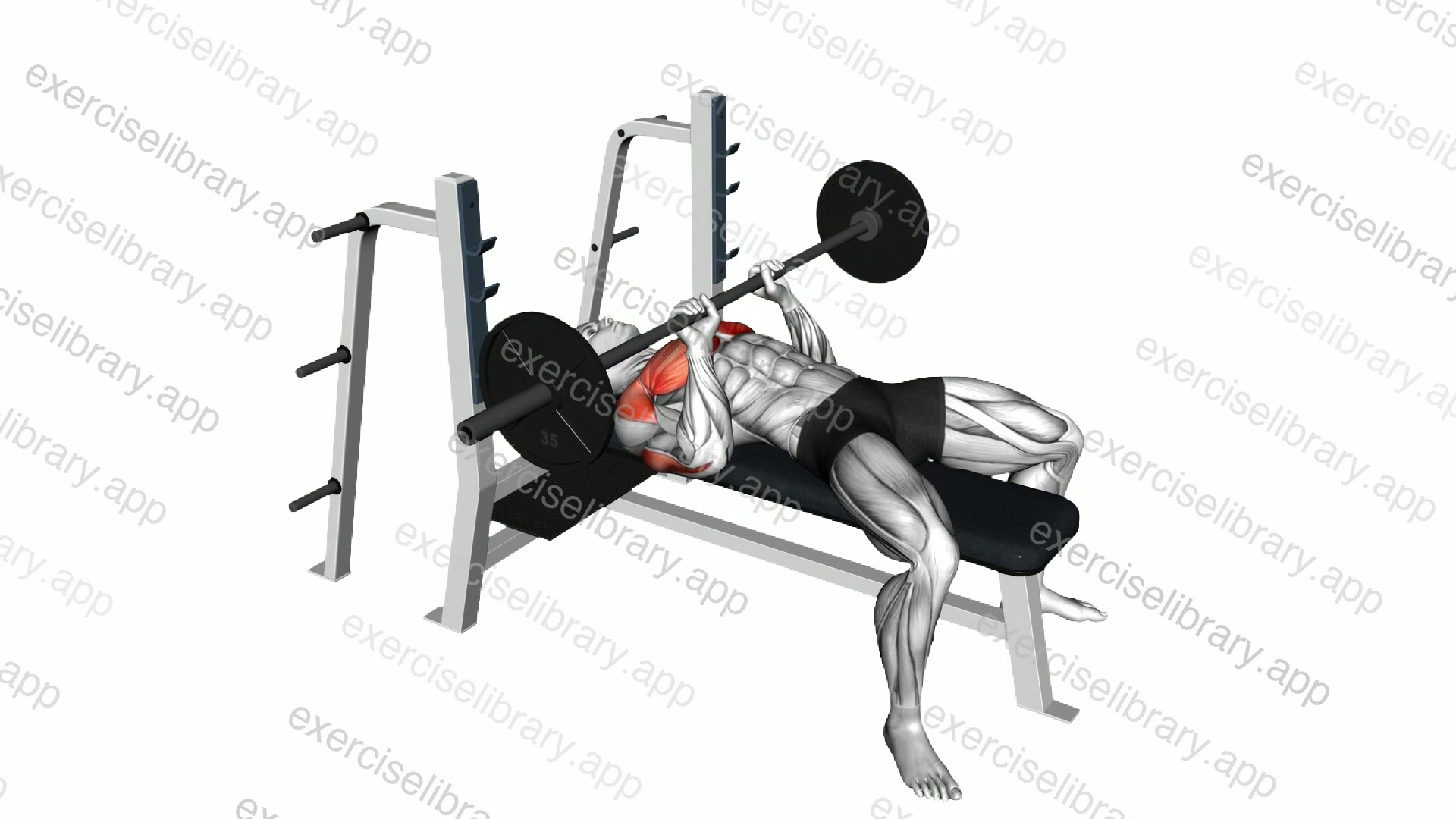 Barbell Close Grip Bench Press demonstration