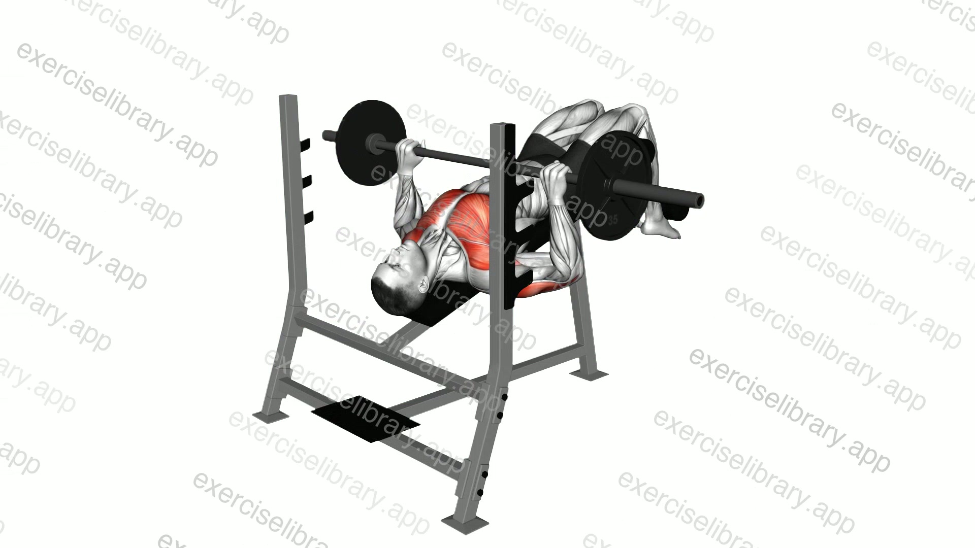 Barbell Decline Bench Press demonstration