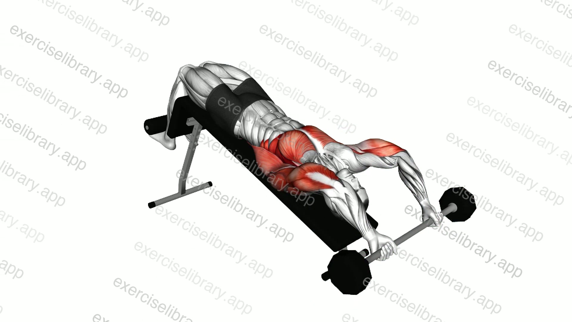 Barbell Decline Bent Arm Pullover demonstration