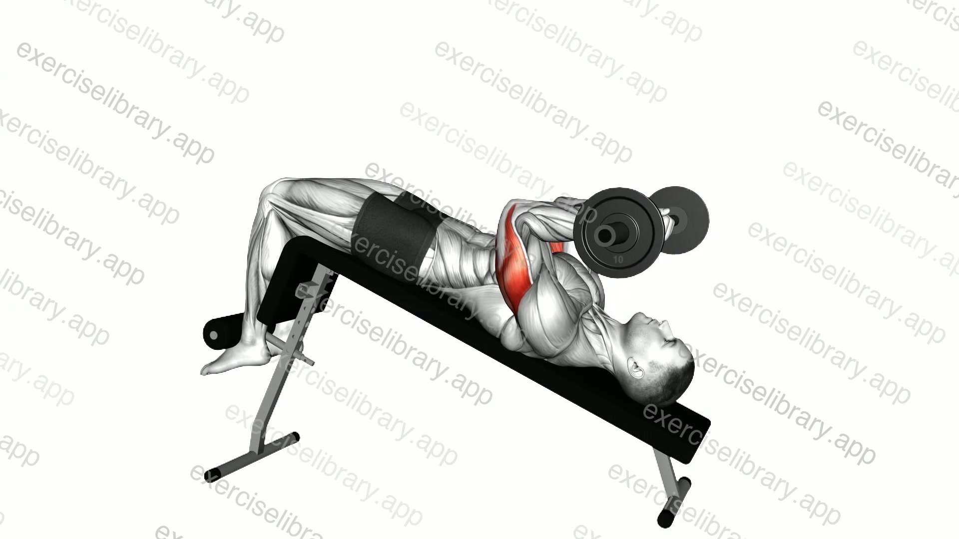 Barbell Decline Close Grip To Skull Press demonstration