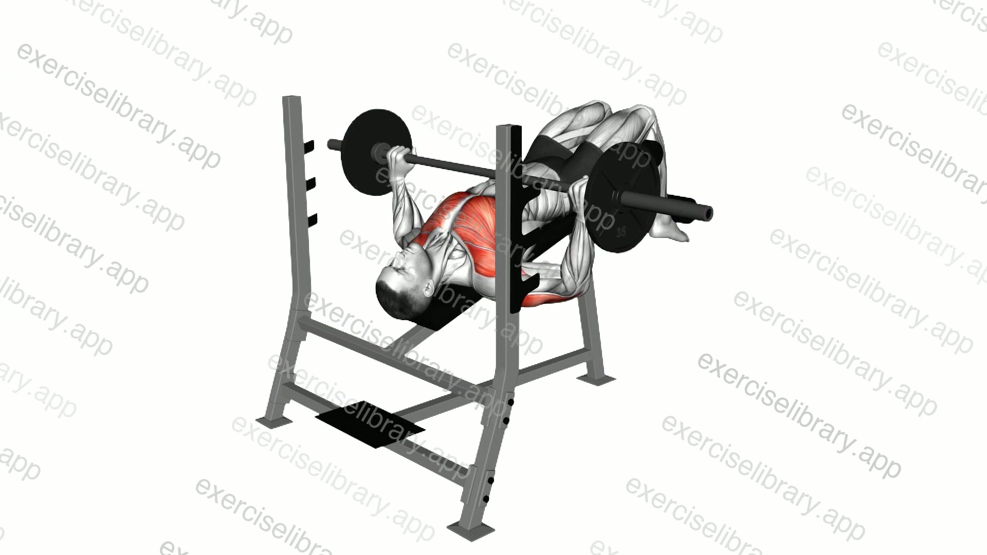 Barbell Decline Wide Grip Press demonstration