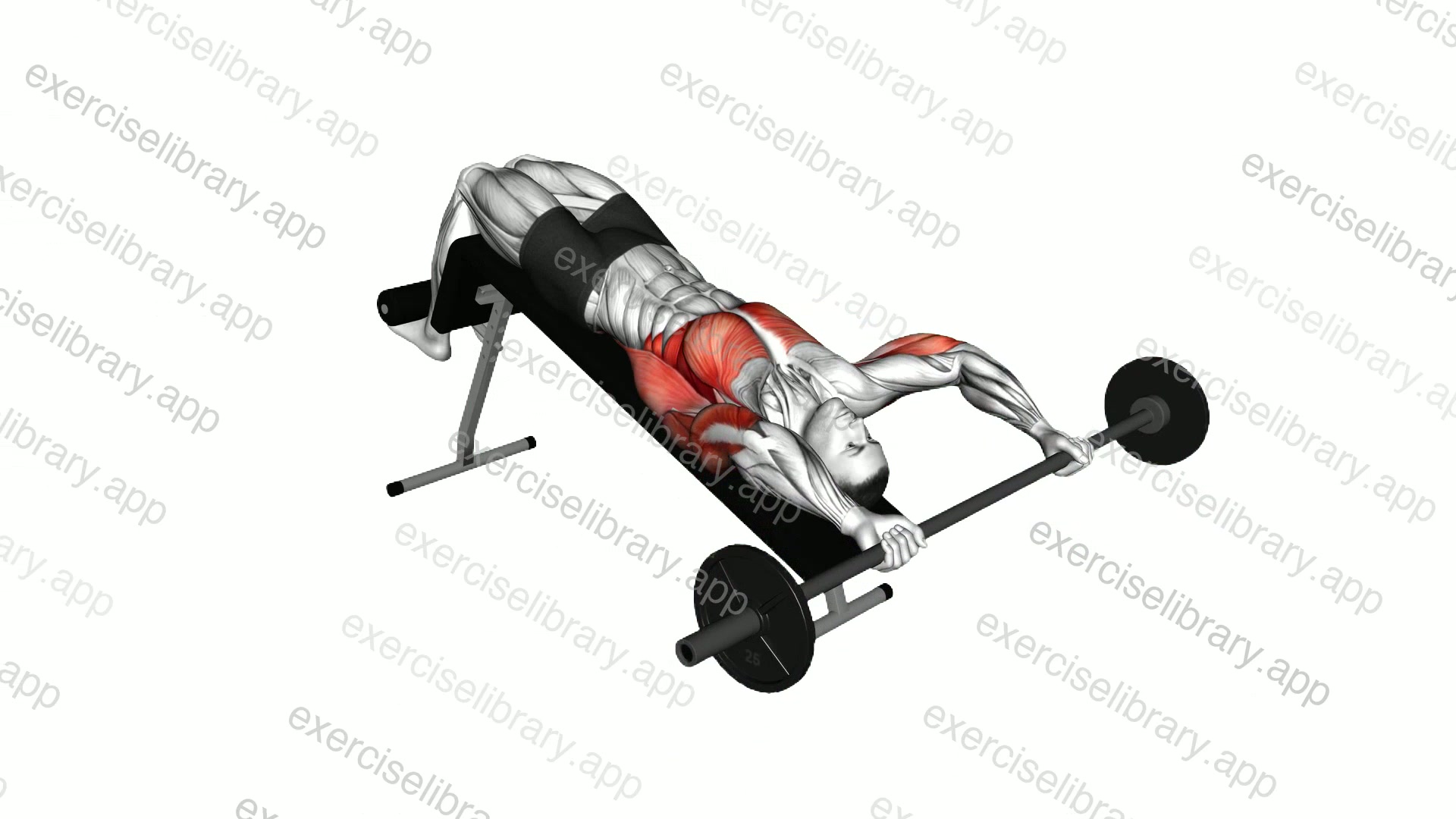 Barbell Decline Wide Grip Pullover demonstration