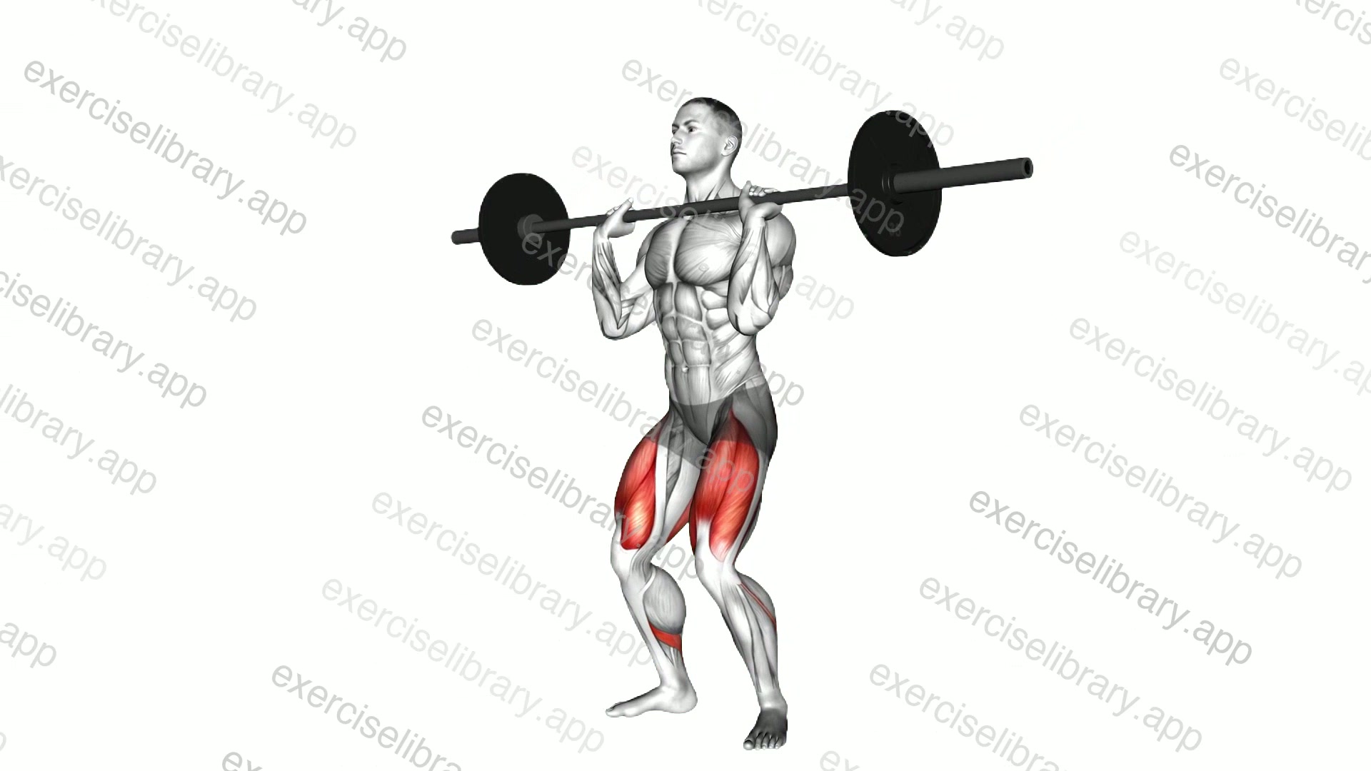 Barbell Front Chest Squat demonstration