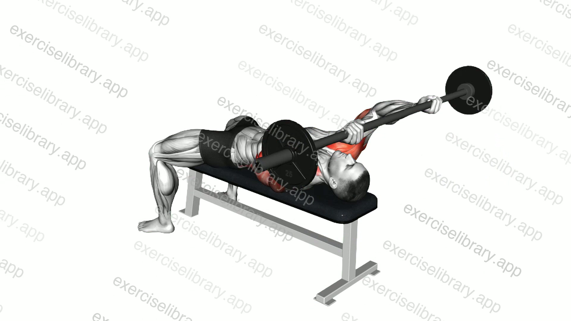Barbell Front Raise And Pullover demonstration