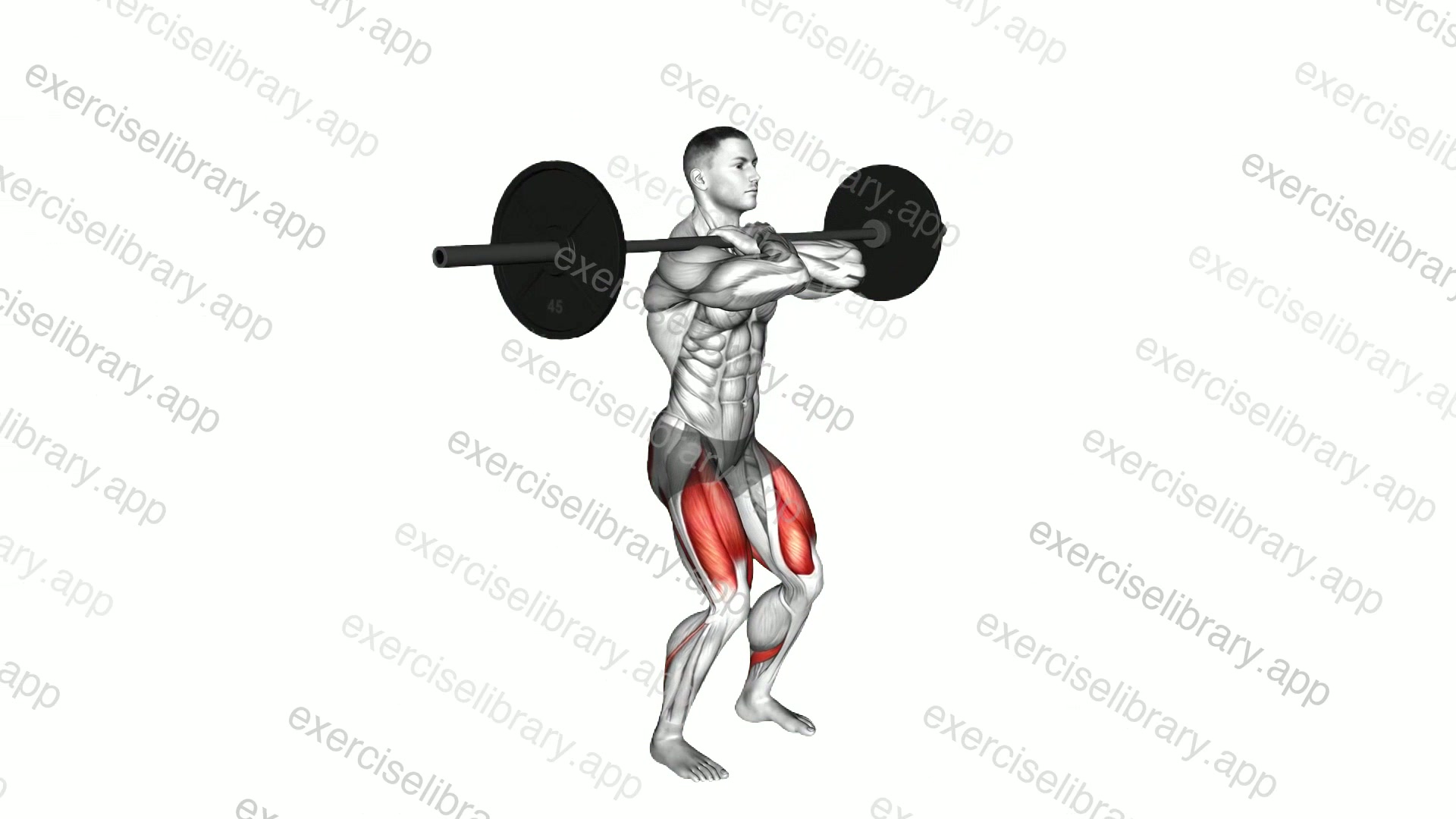 Barbell Front Squat demonstration