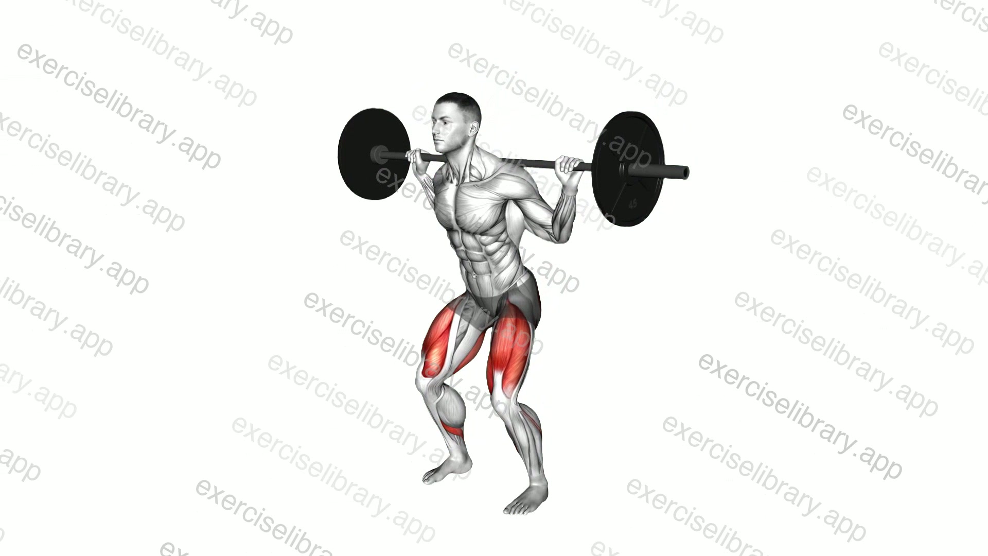 Barbell Full Squat demonstration
