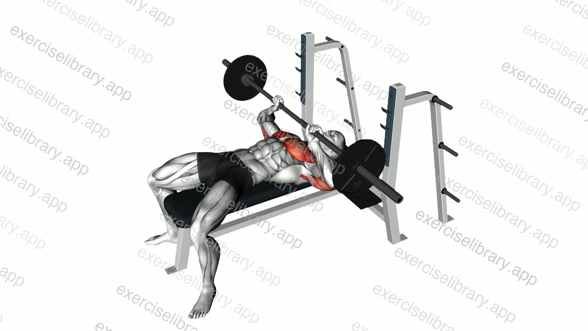 Barbell Guillotine Bench Press demonstration