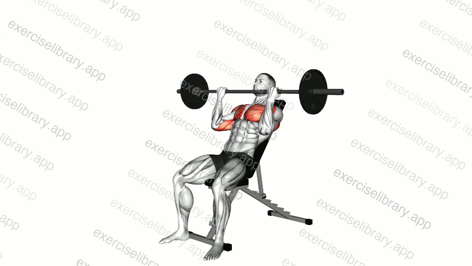 Barbell Incline Reverse Grip Press demonstration