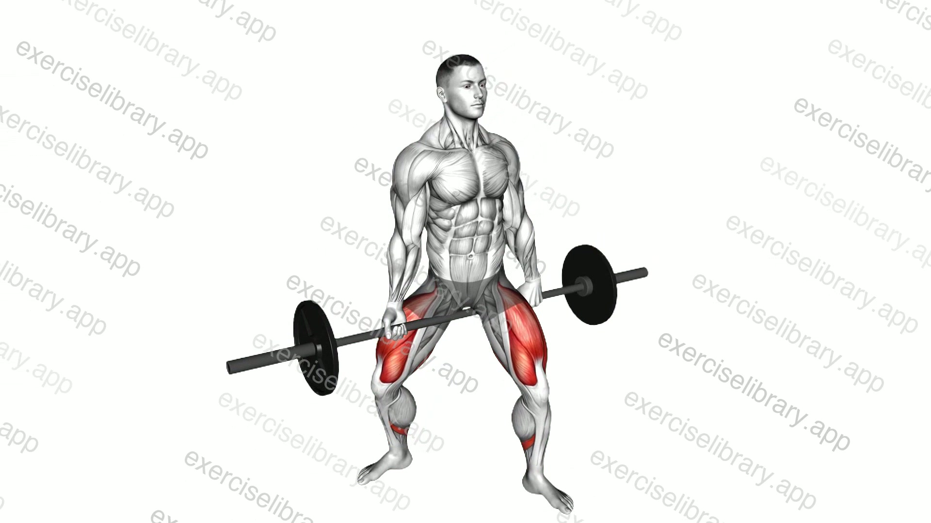 Barbell Jefferson Squat demonstration