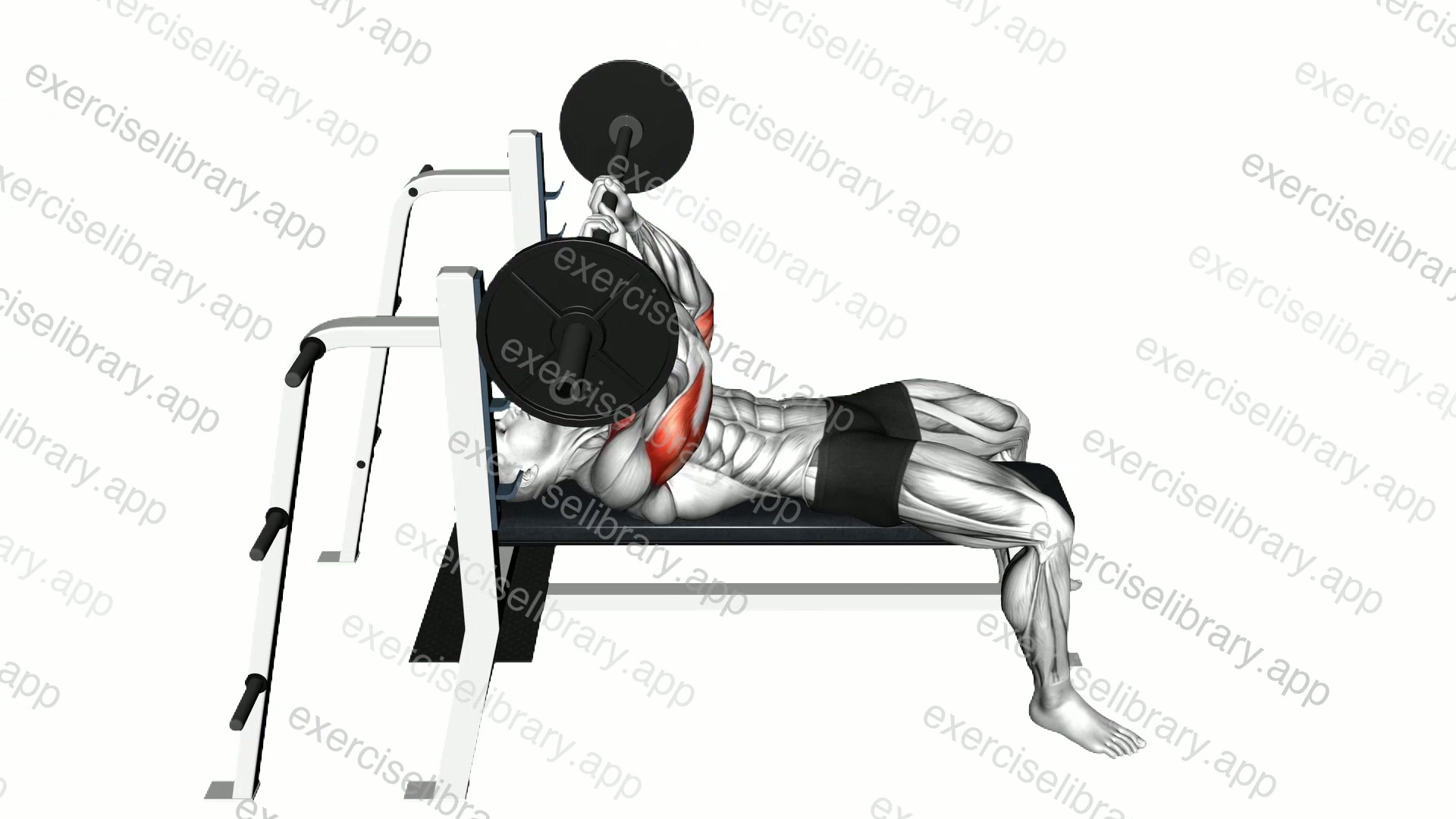 Barbell JM-Bench Press demonstration