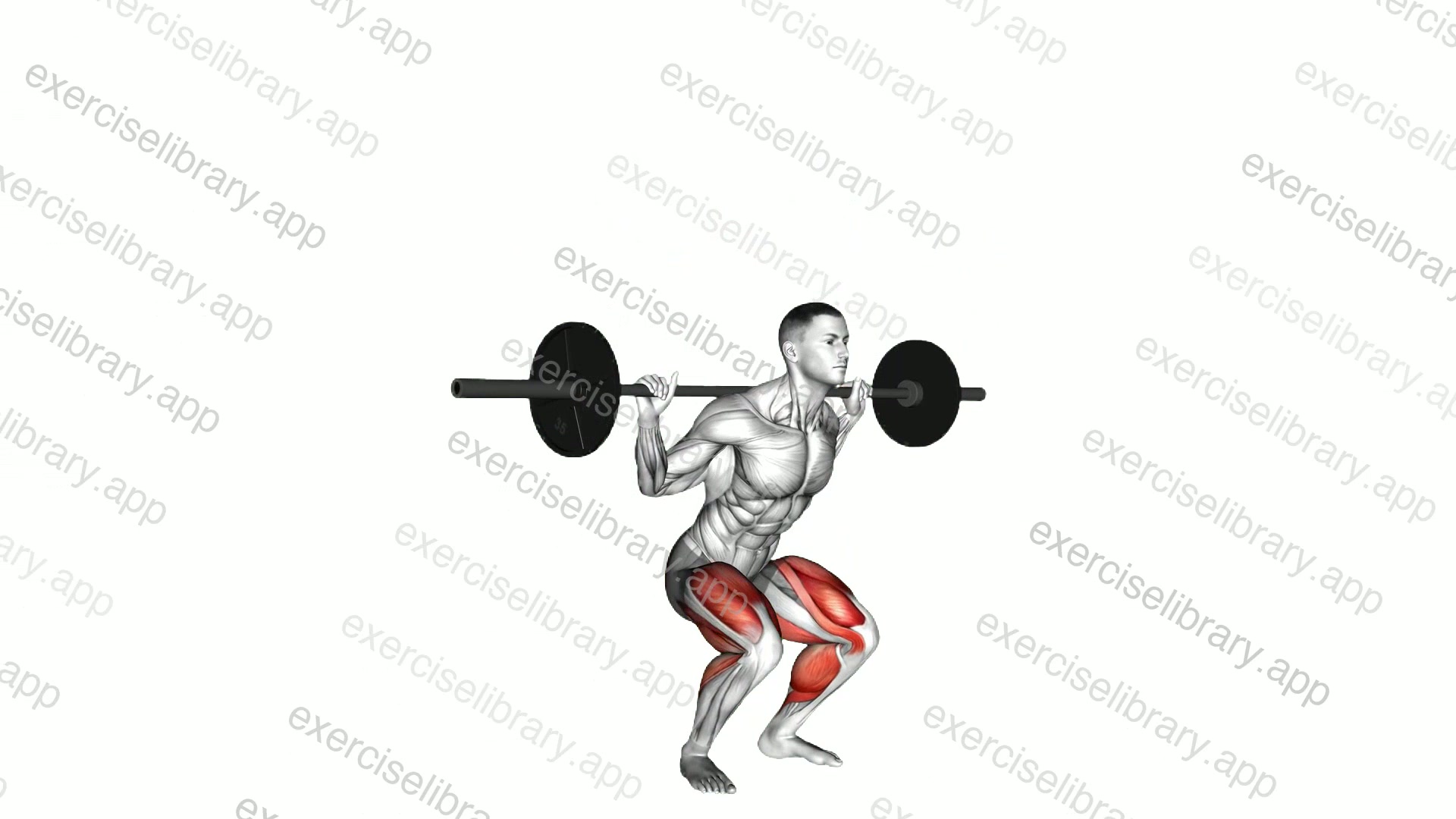 Barbell Jump Squat demonstration