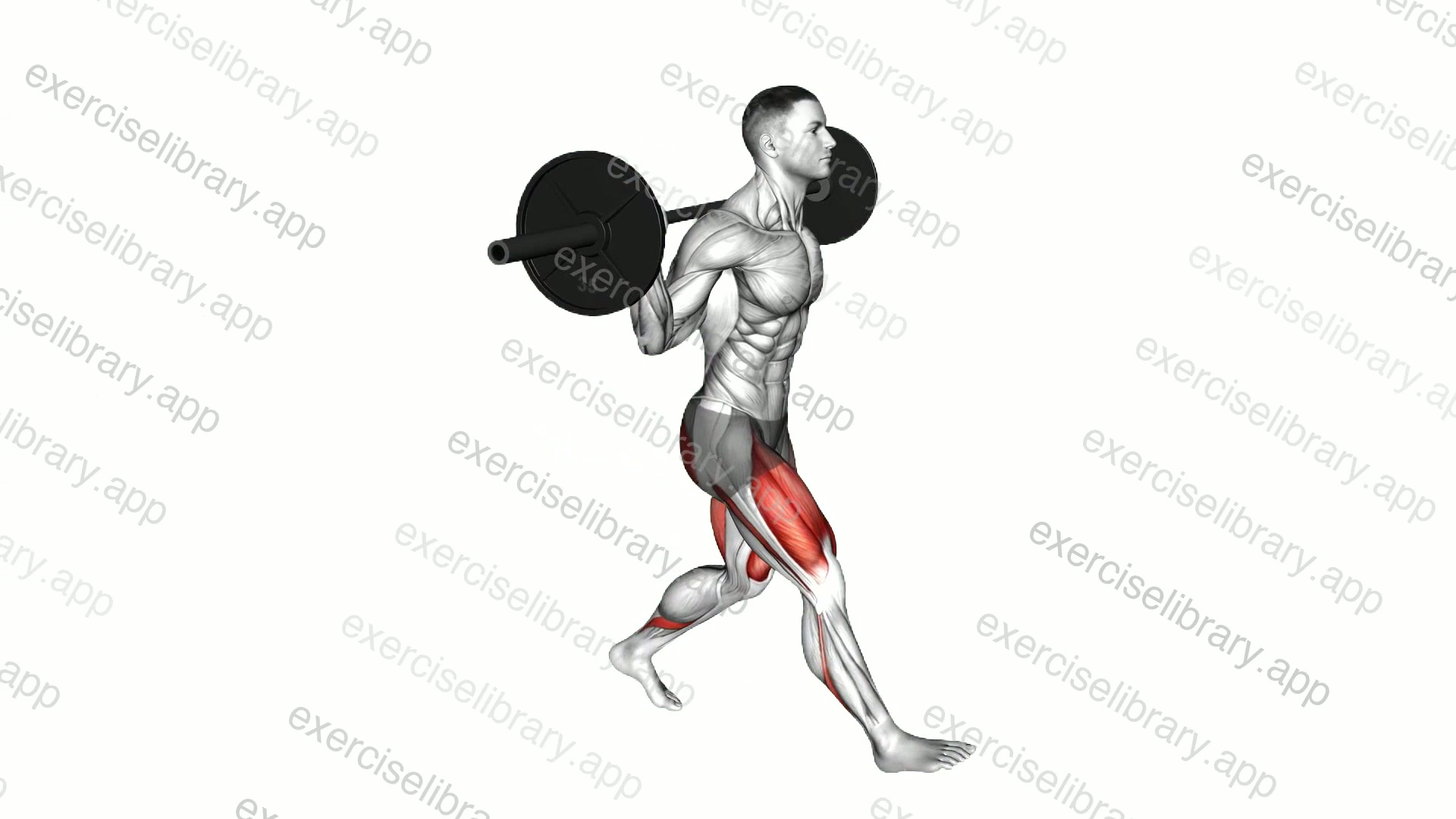Barbell Lunge demonstration