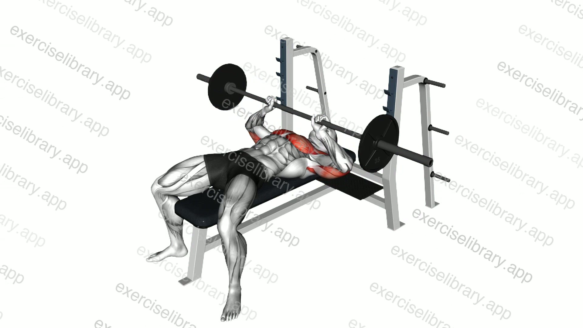 Barbell Lying Close grip Press demonstration