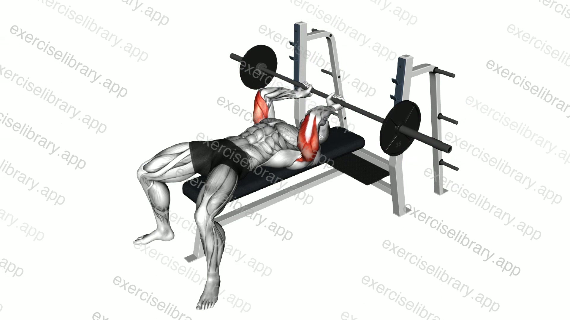 Barbell Lying extension demonstration