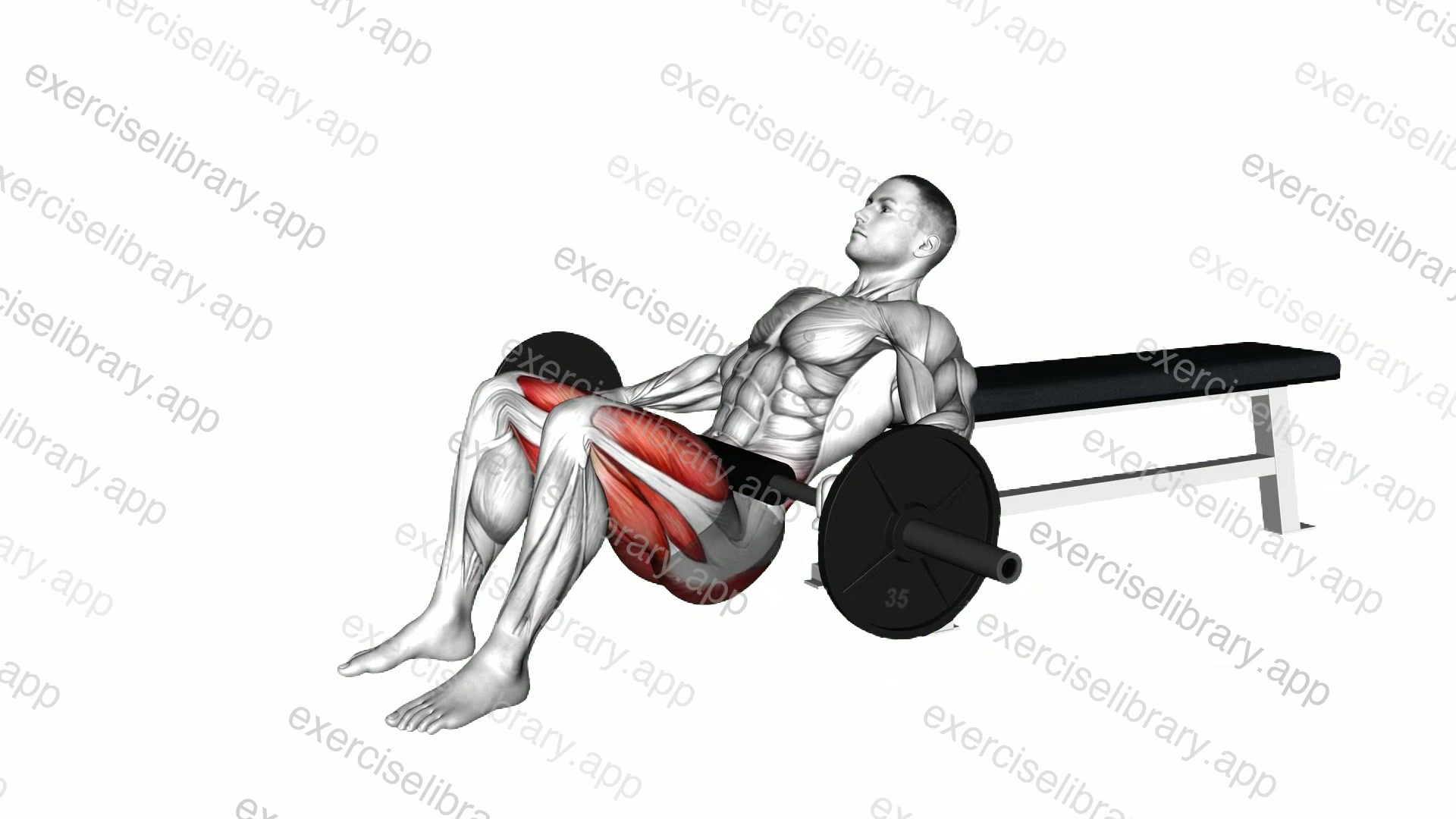 Barbell Lying Lifting demonstration