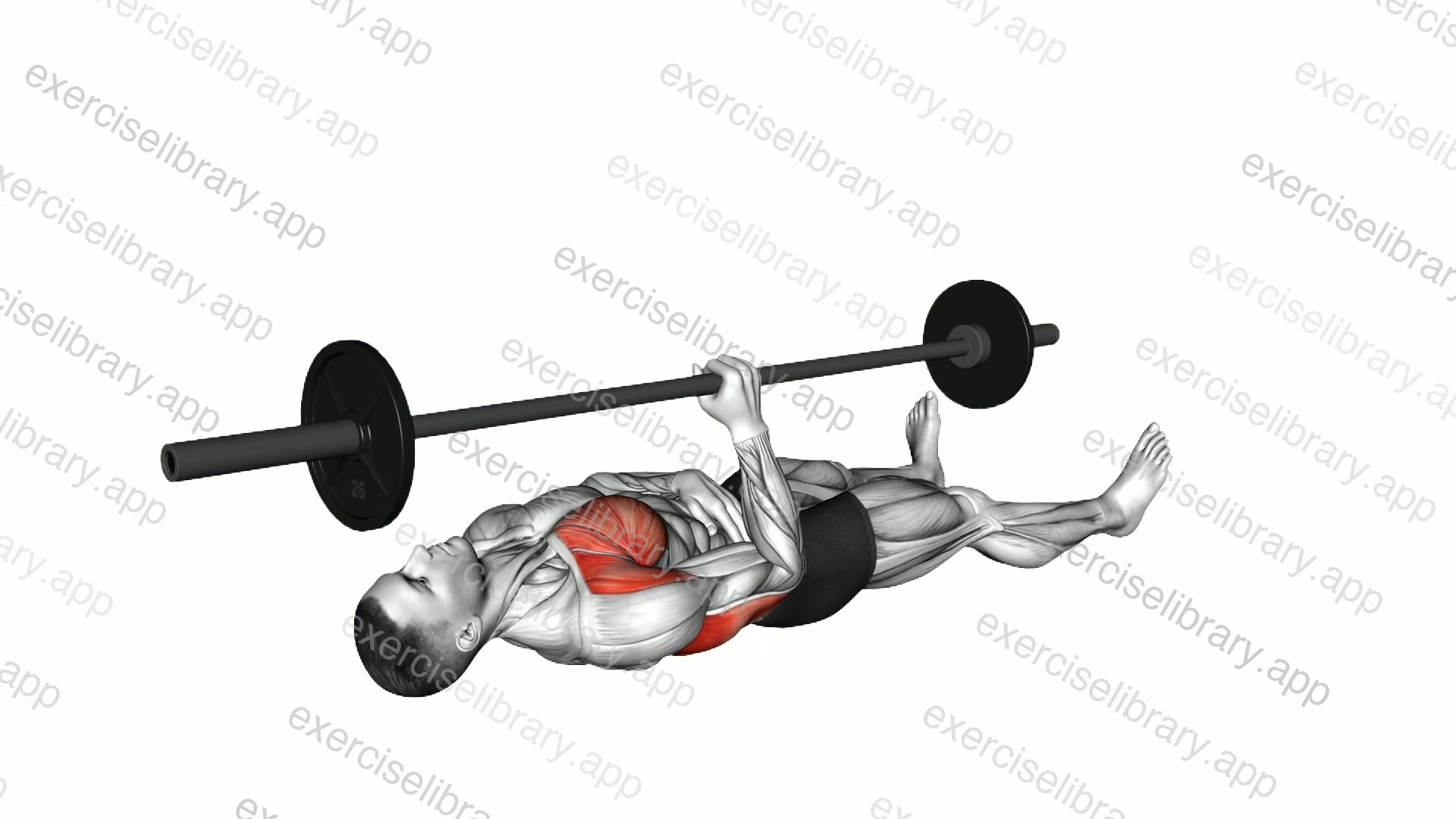 Barbell One Arm Floor Press demonstration