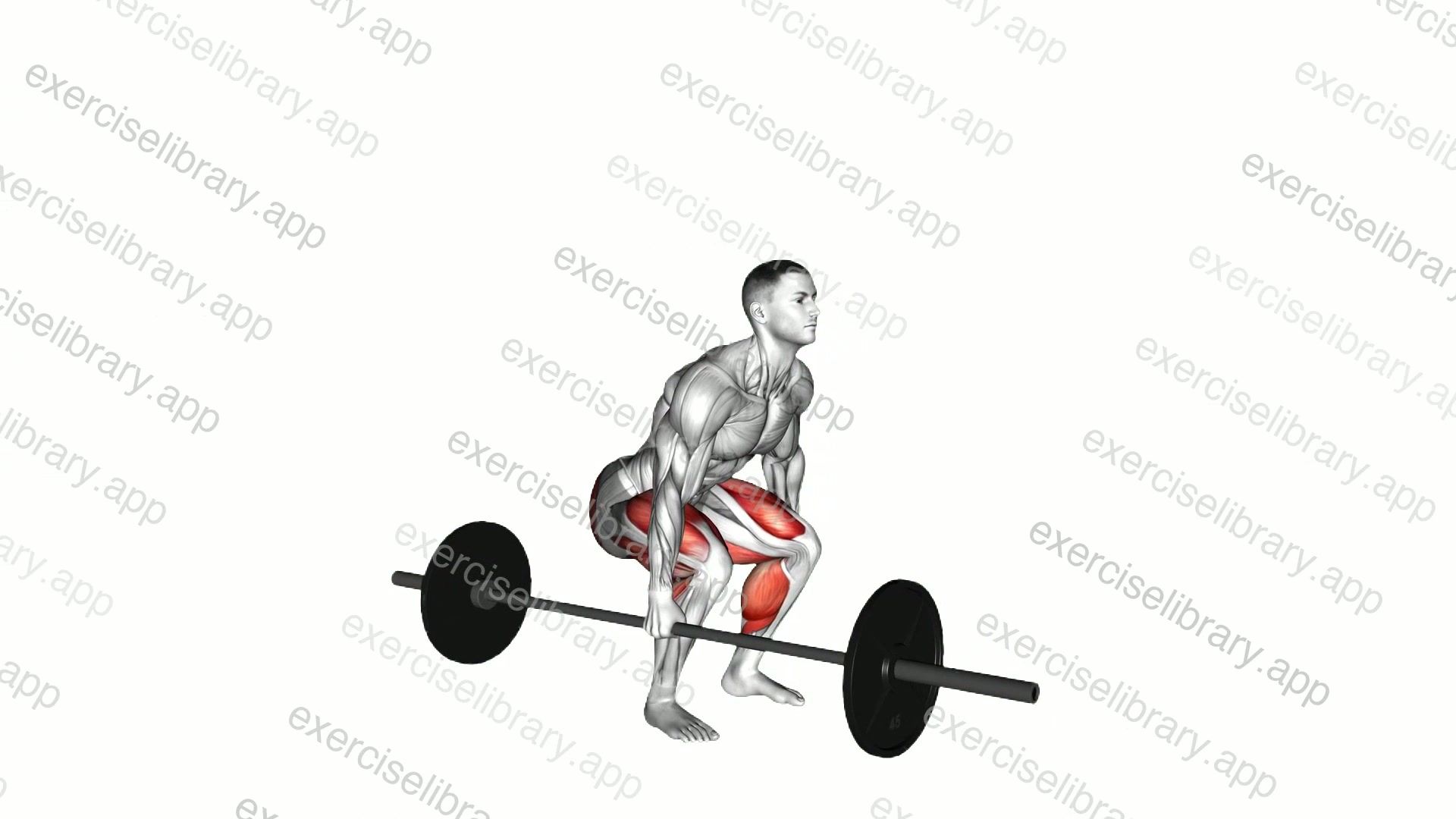 Barbell One Arm Side Deadlift demonstration