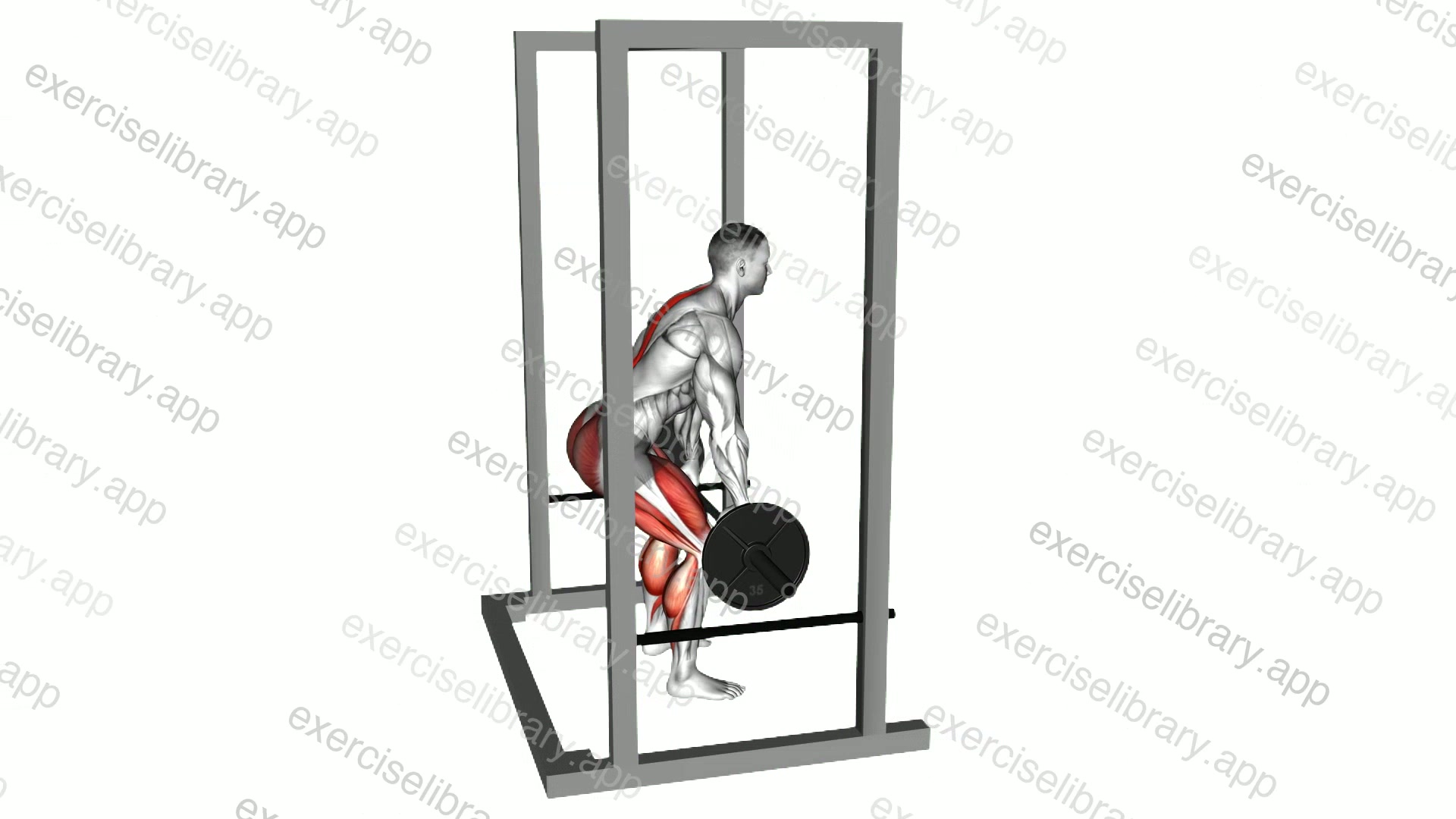 Barbell Rack Pull demonstration