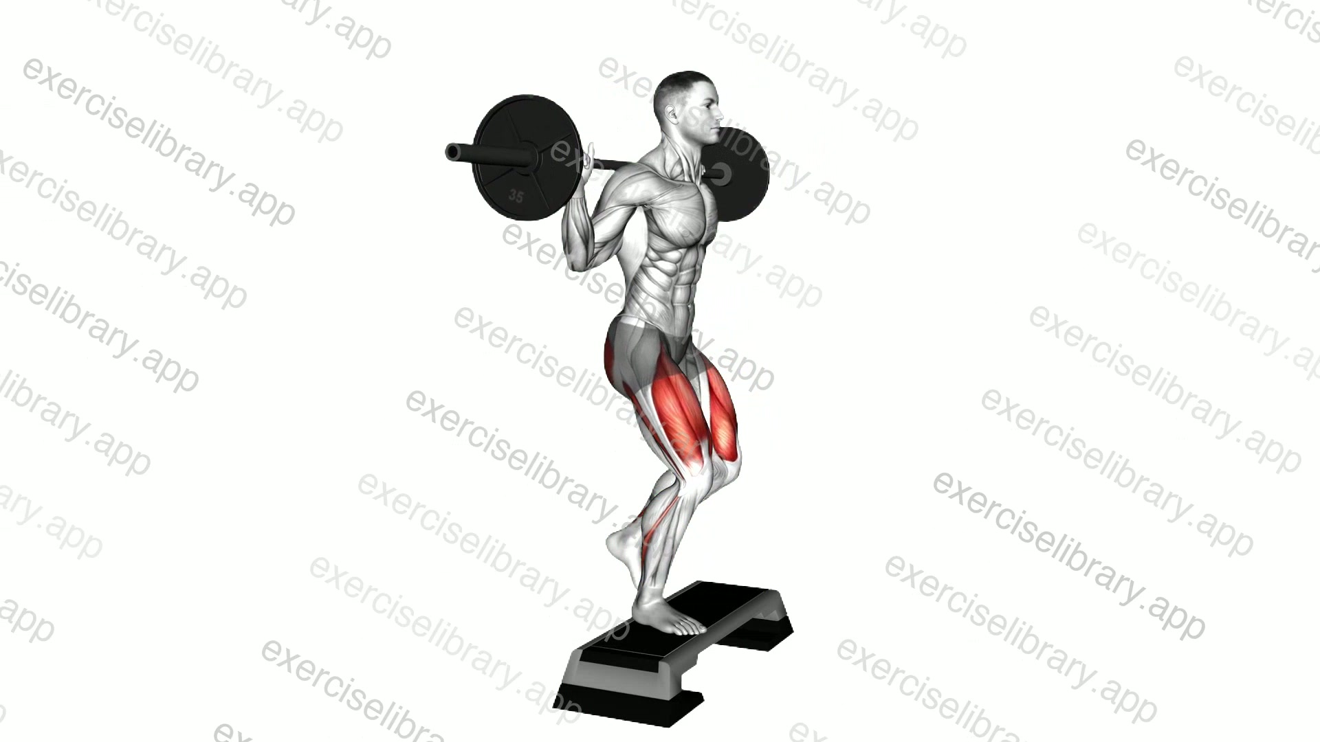 Barbell Rear Lunge demonstration