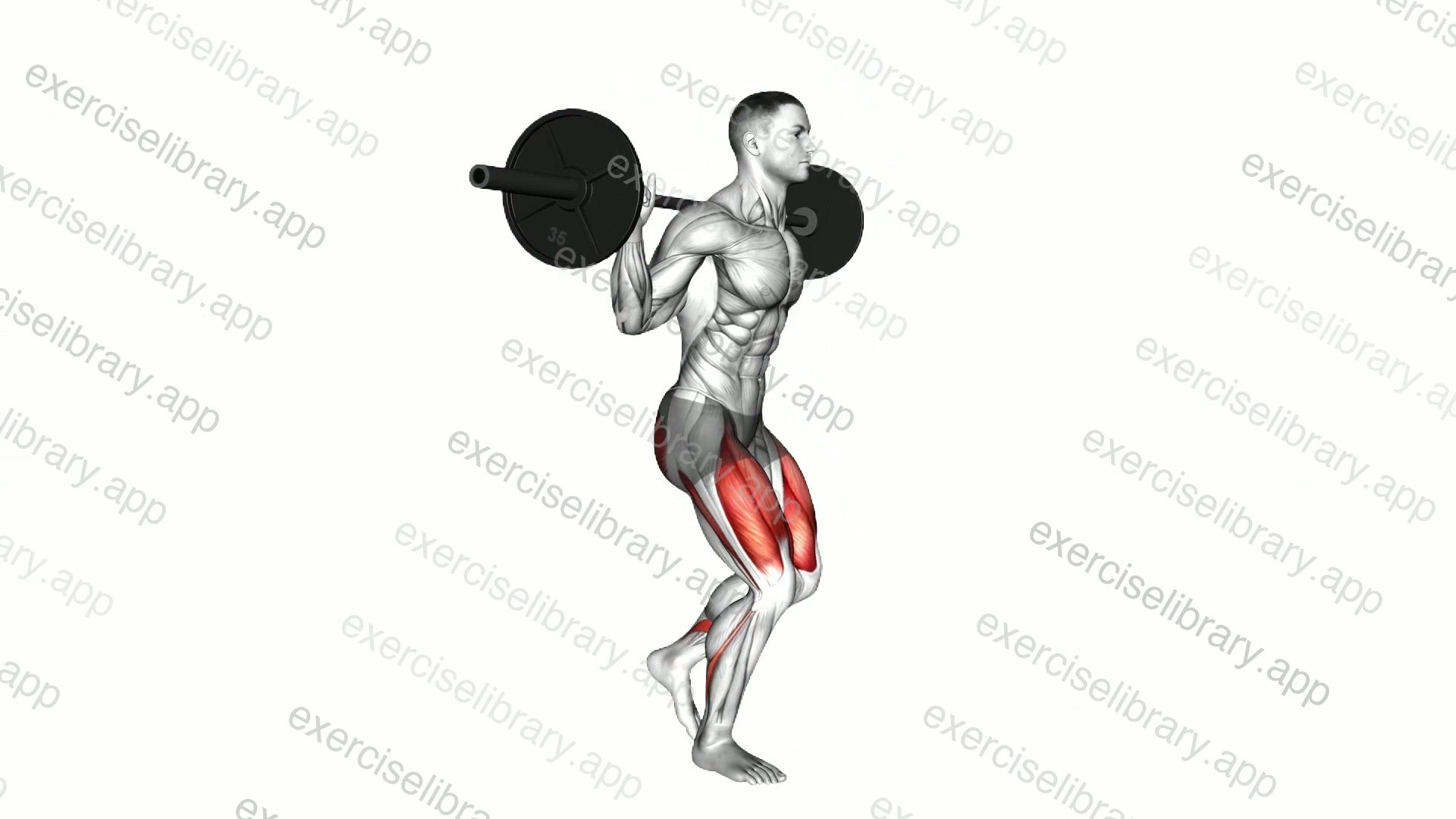 Barbell Rear Lunge demonstration