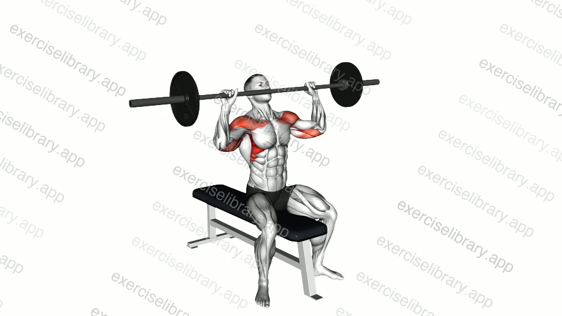 Barbell Seated Overhead Press demonstration