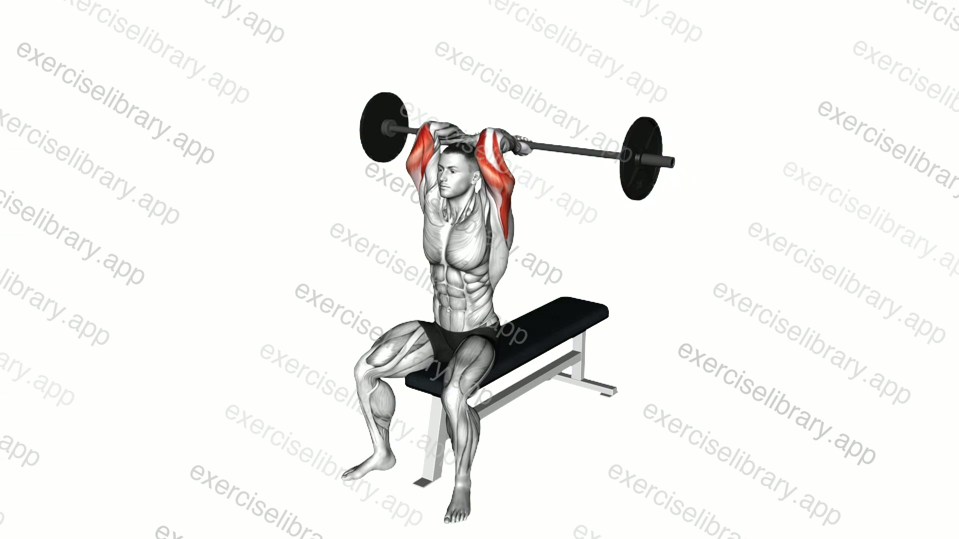 Barbell Seated Overhead Triceps Extension demonstration