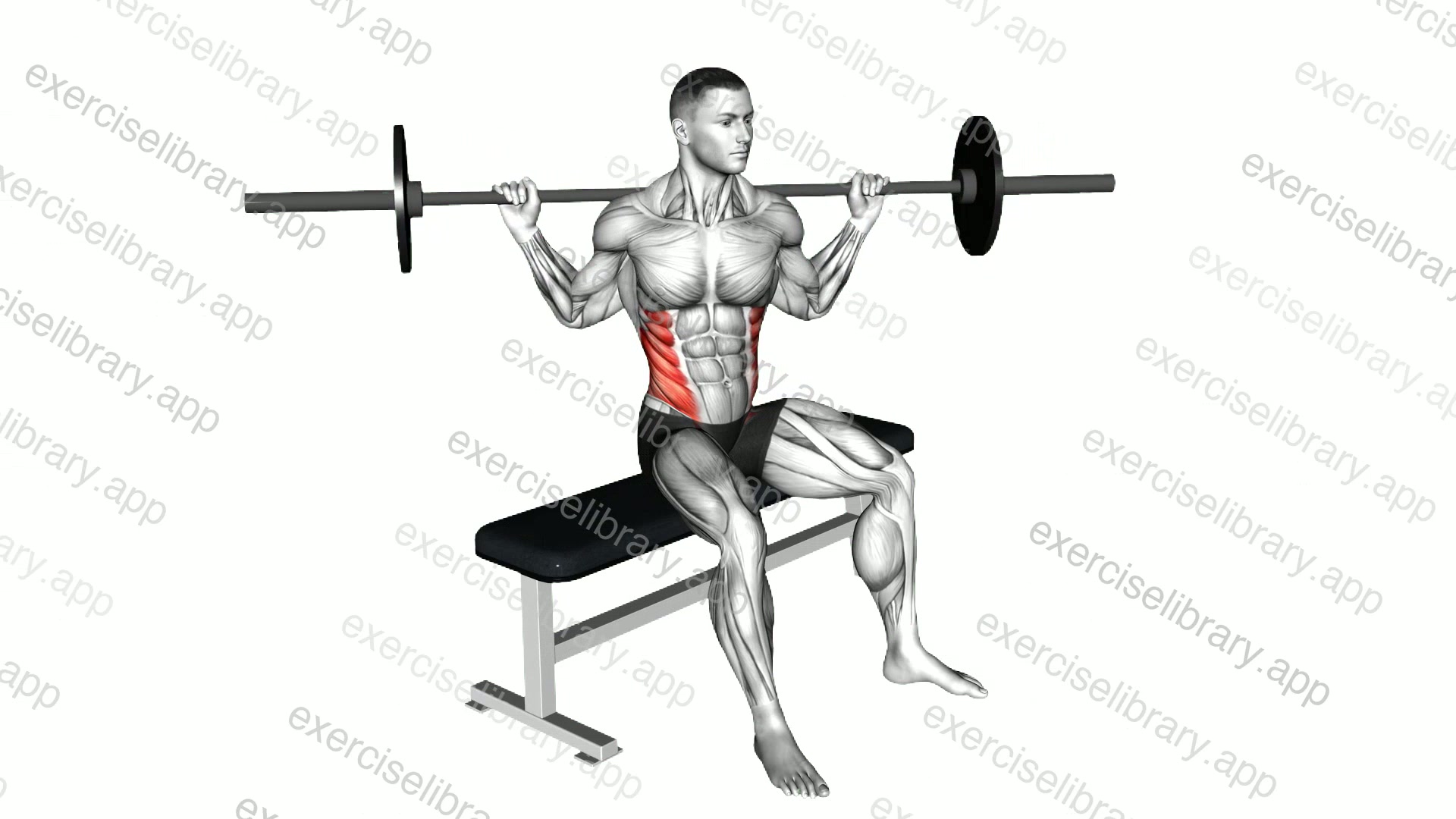 Barbell Seated Twist demonstration