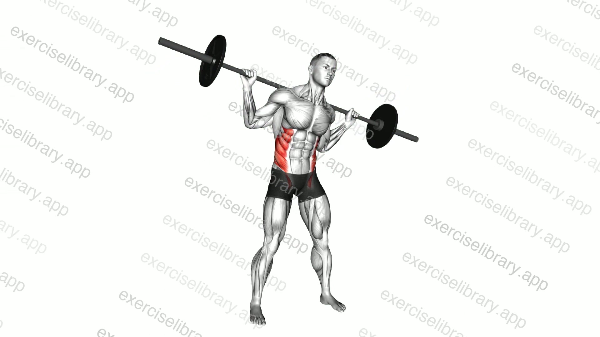 Barbell Side Bent demonstration