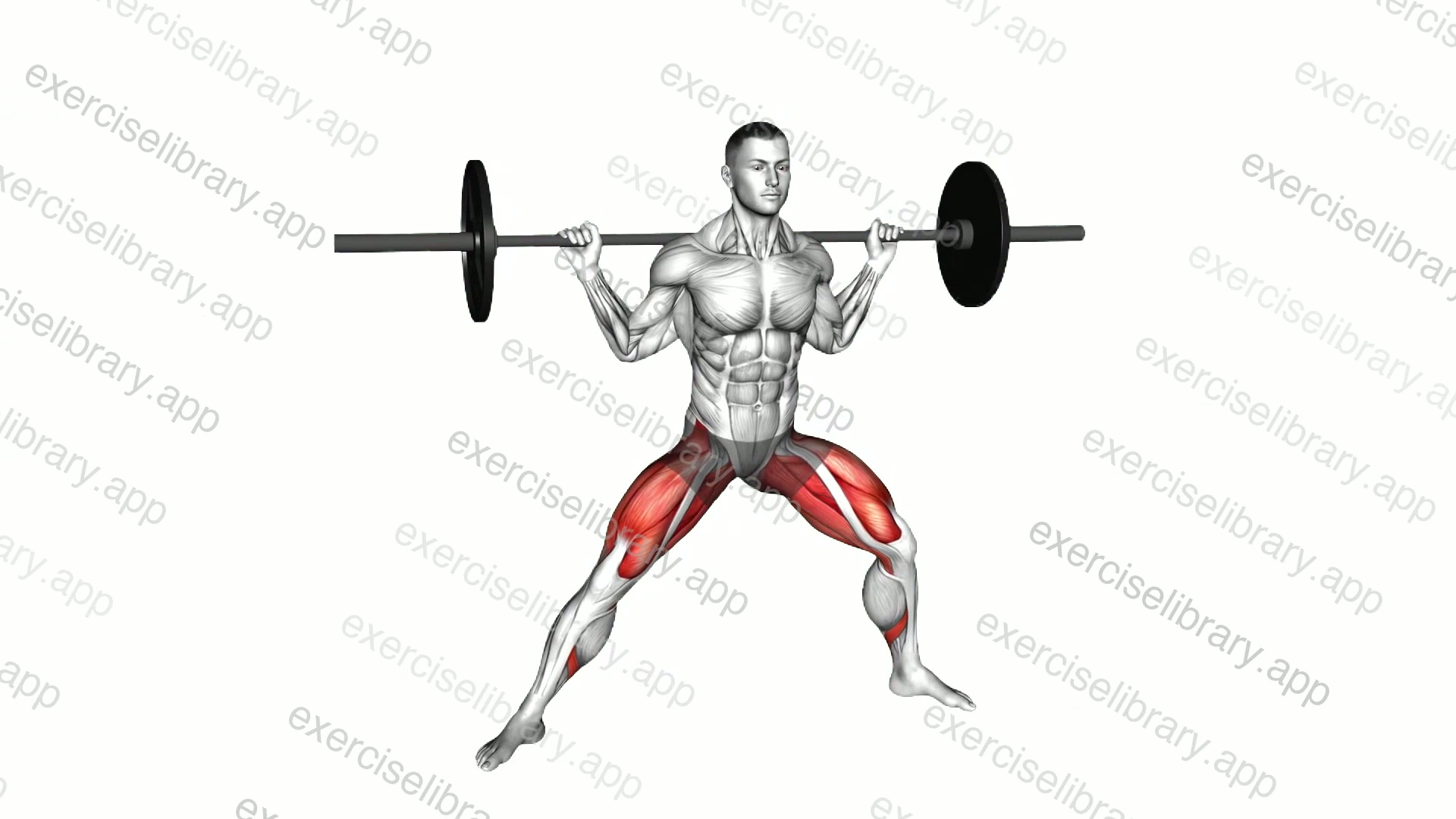 Barbell Side Split Squat demonstration