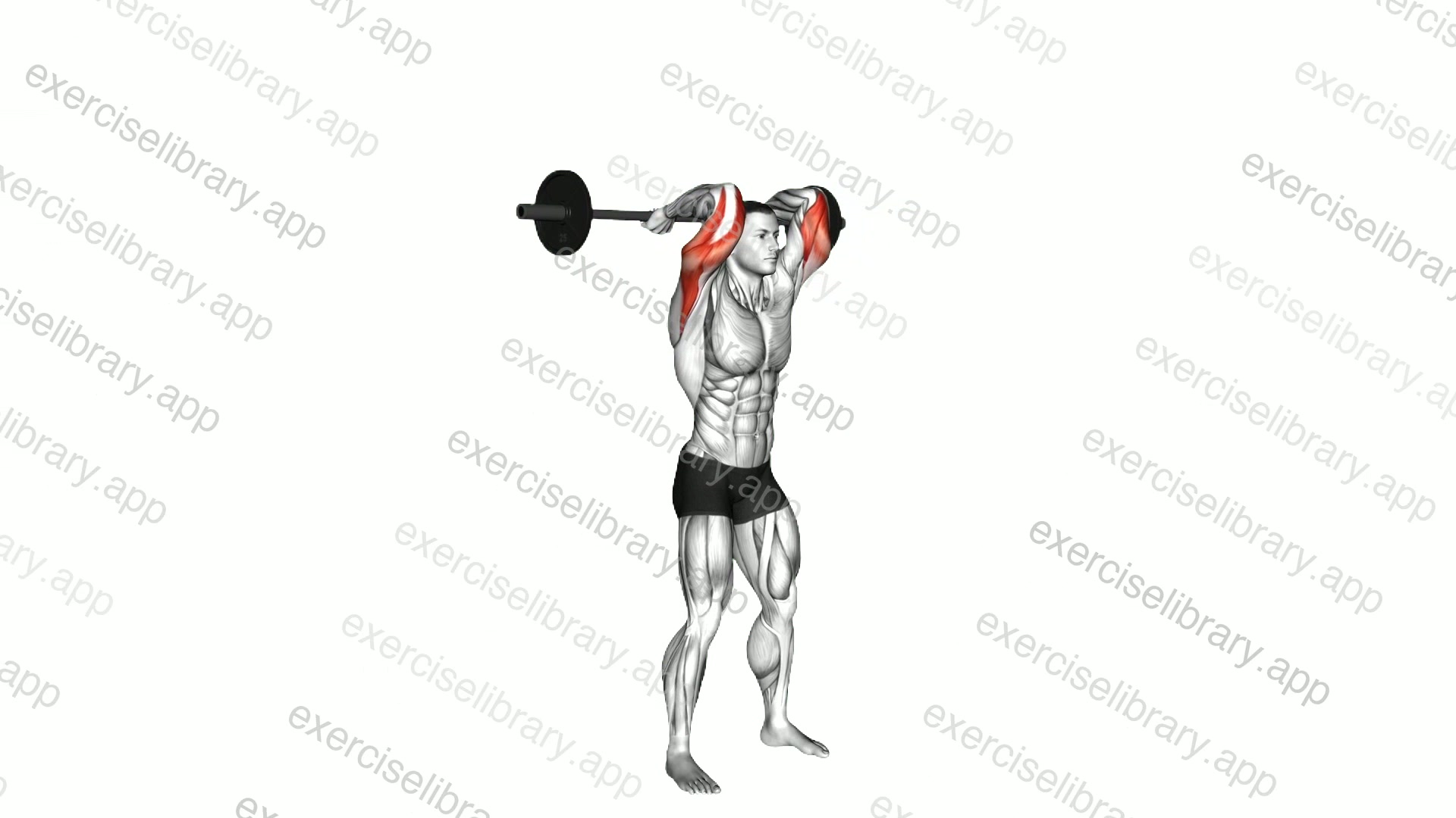 Barbell Standing Overhead Triceps Extension demonstration