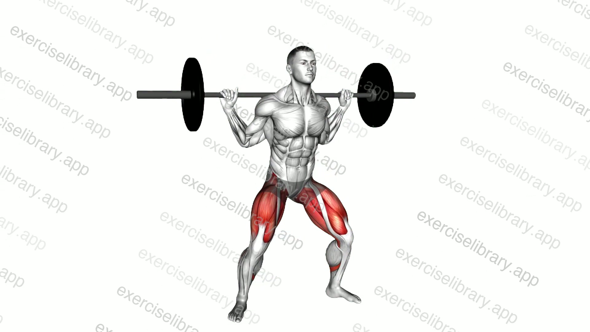 Barbell Wide Squat demonstration