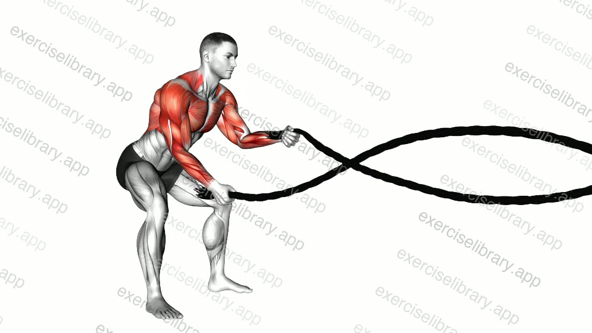 Battling Ropes demonstration