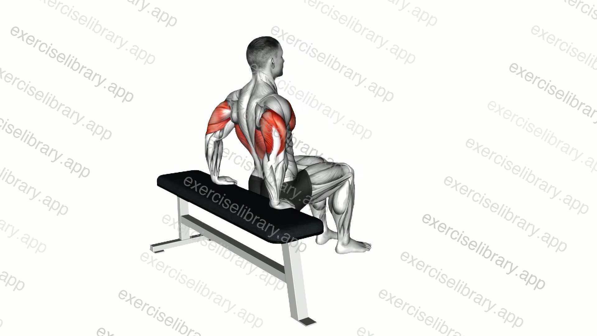 Bench Dip demonstration