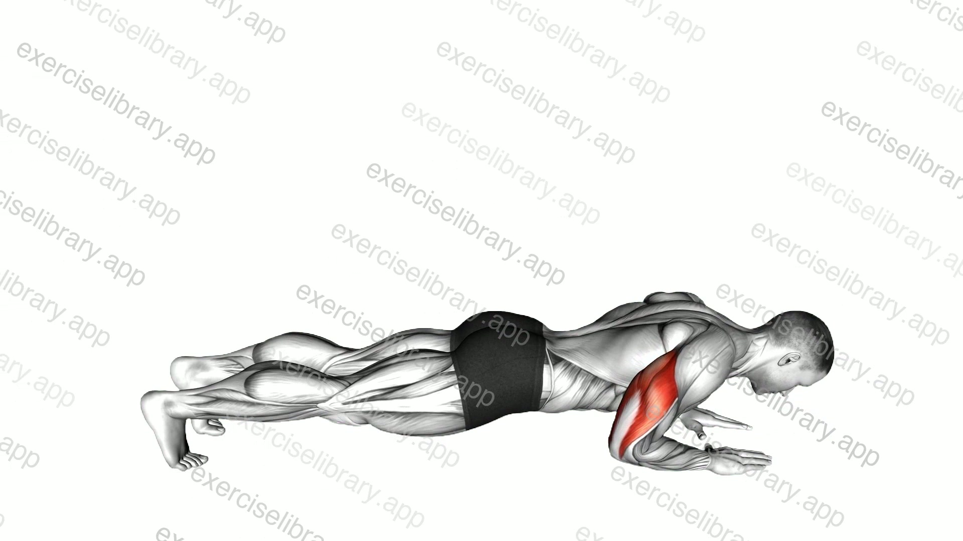 Body-Up demonstration
