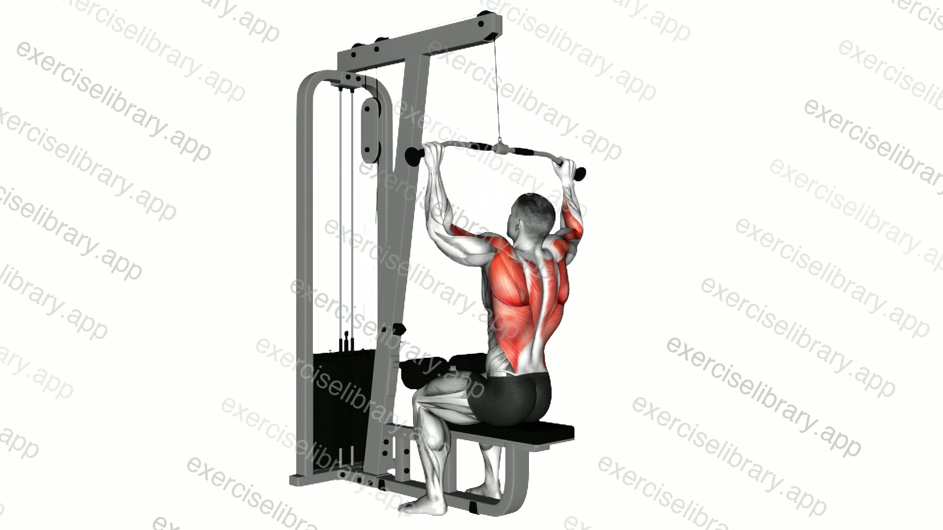 Cable Bar Lateral Pulldown demonstration