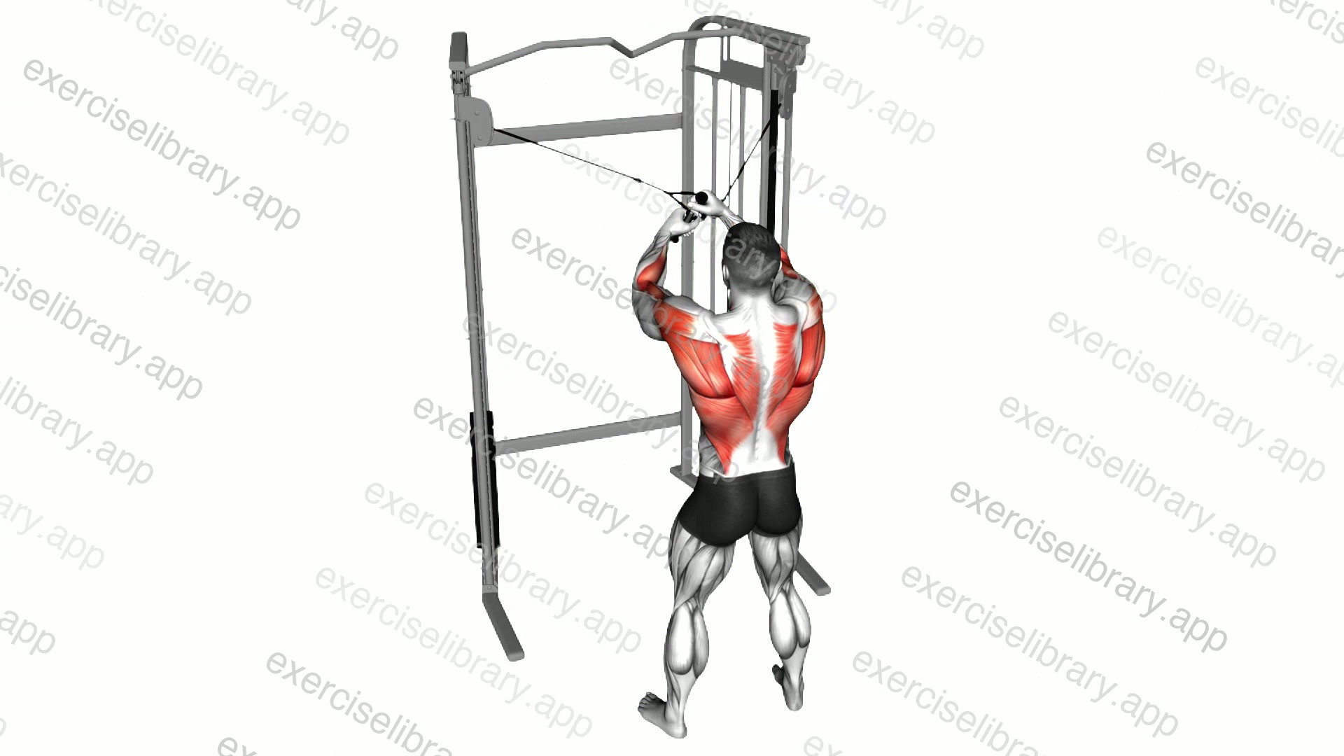 Cable Cross over Lateral Pulldown demonstration
