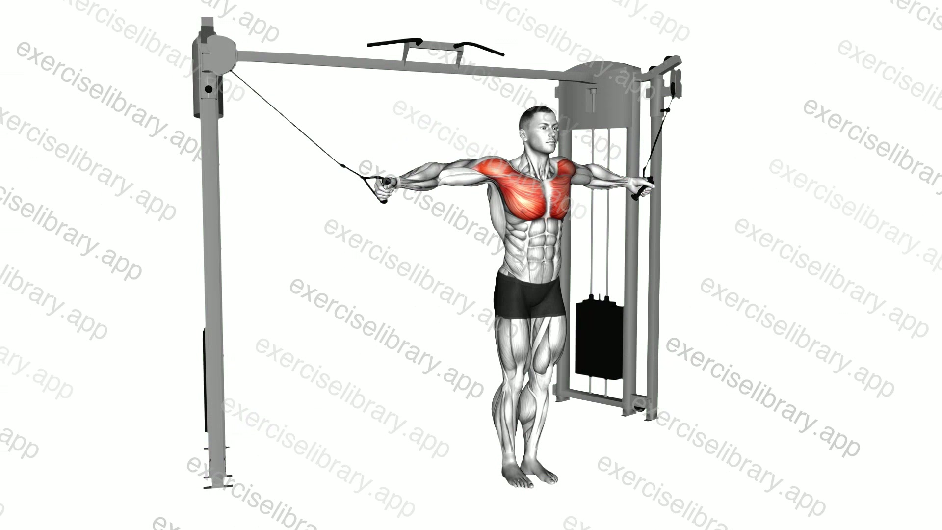 Cable Crossover Variation demonstration