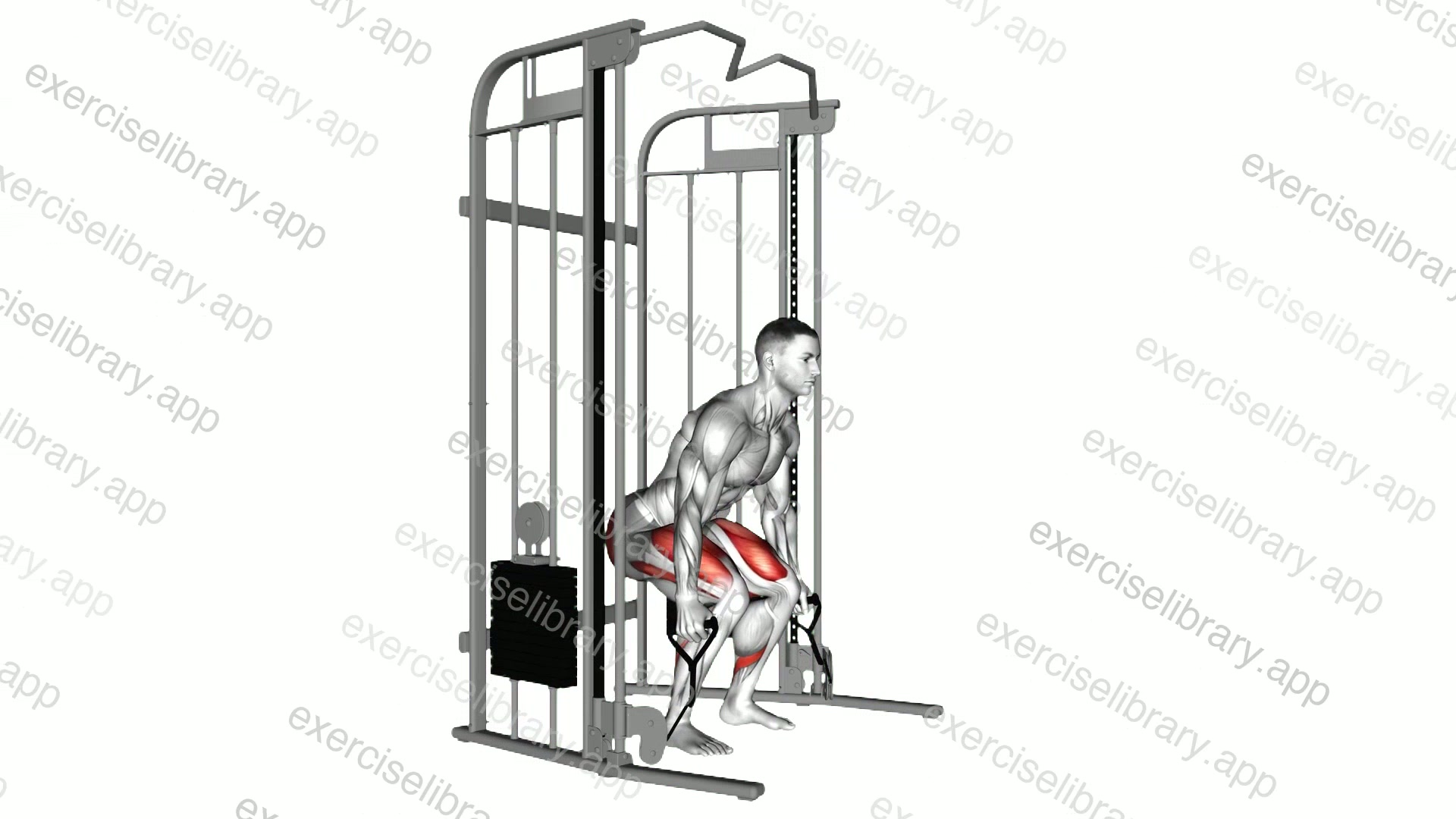 Cable Deadlift demonstration