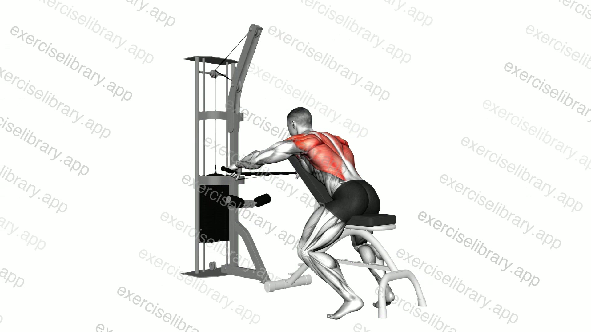 Cable Decline Seated Wide grip Row demonstration