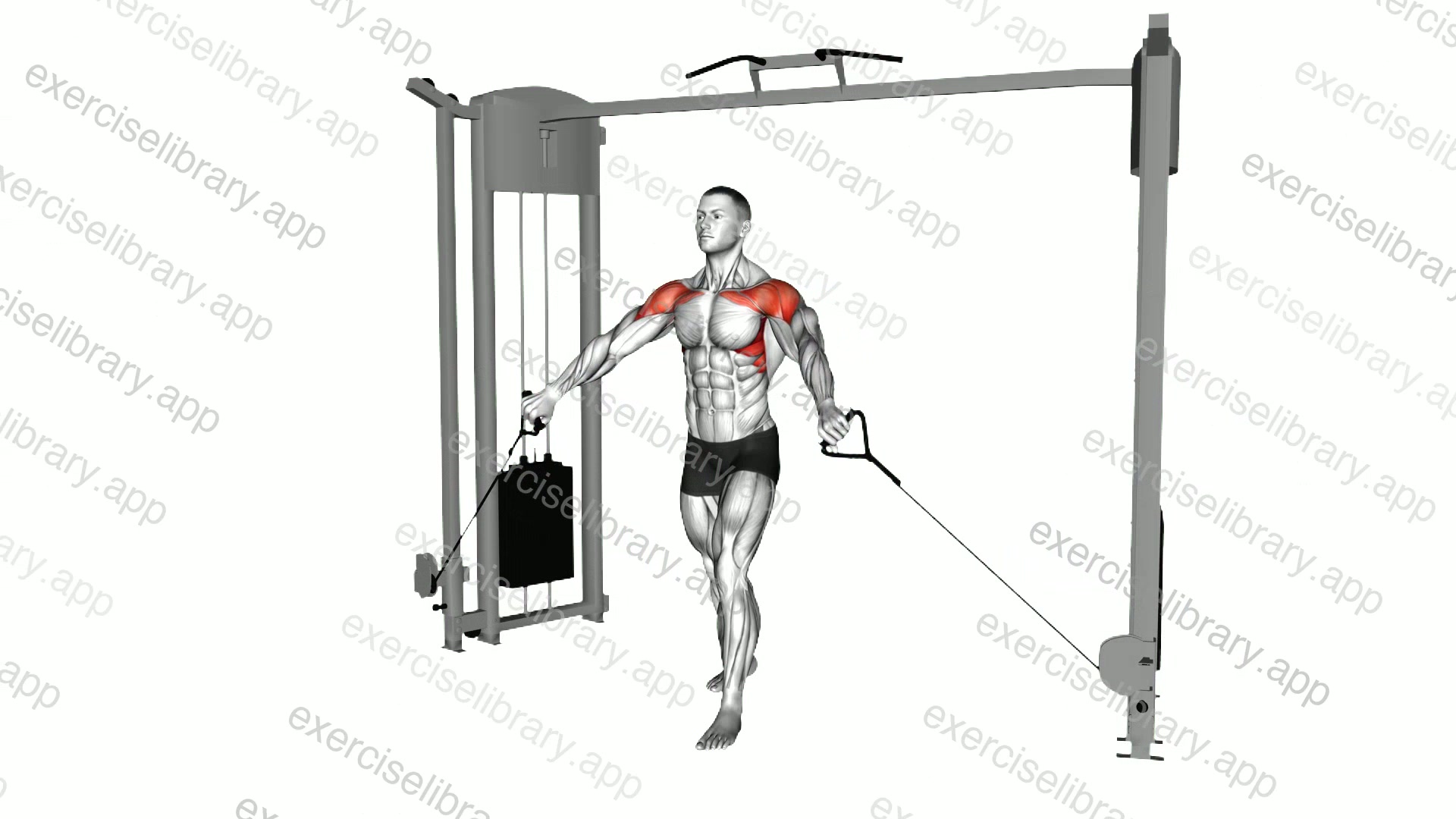 Cable Front Shoulder Raise demonstration