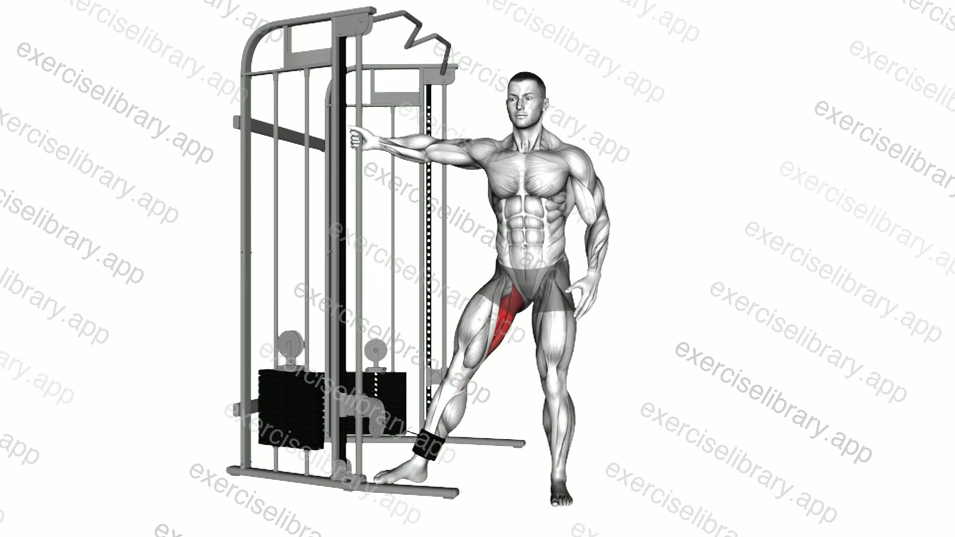 Cable Hip Adduction demonstration